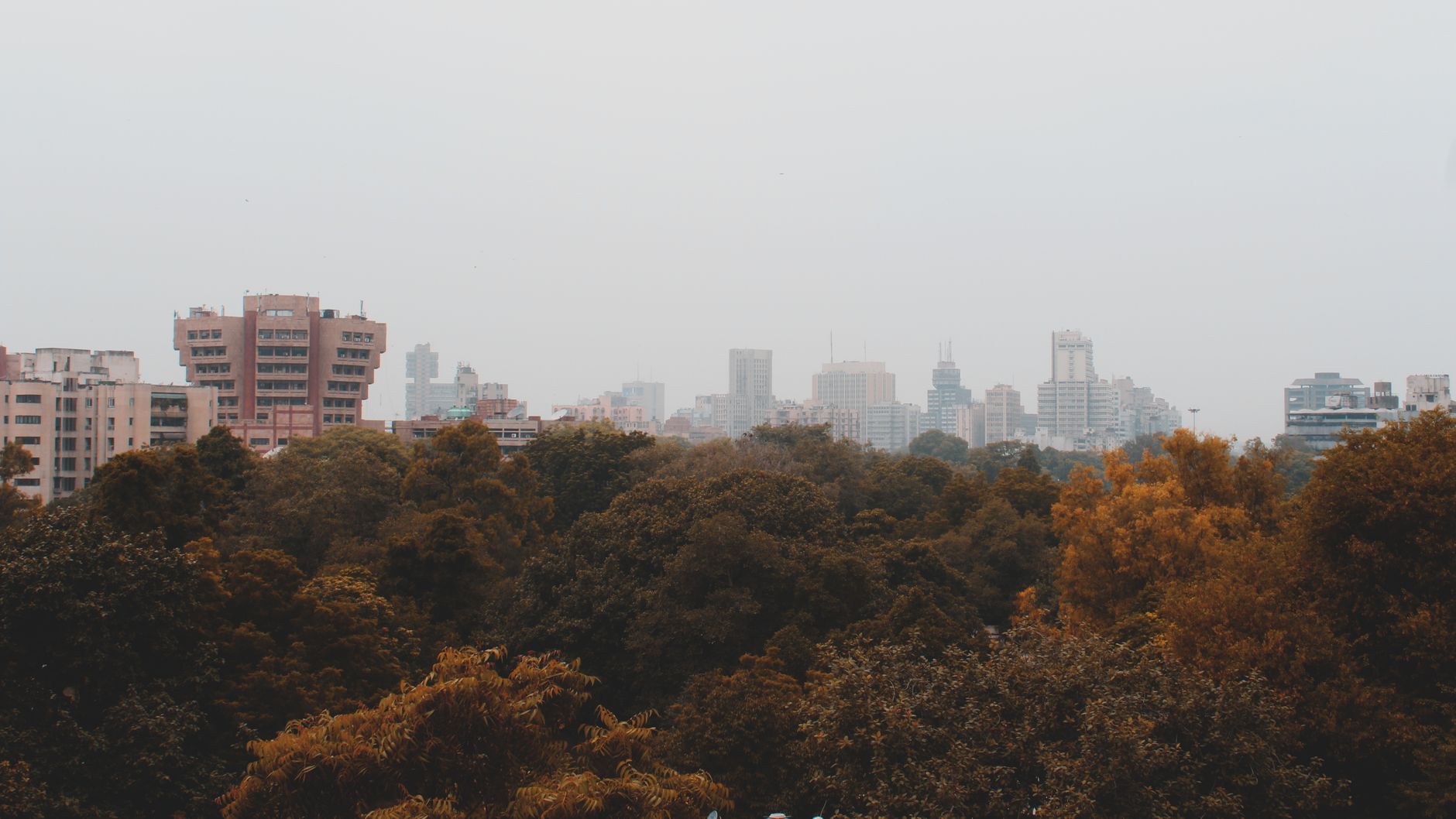 India's Environmental Ranking Sparks Debate on Global Indices
