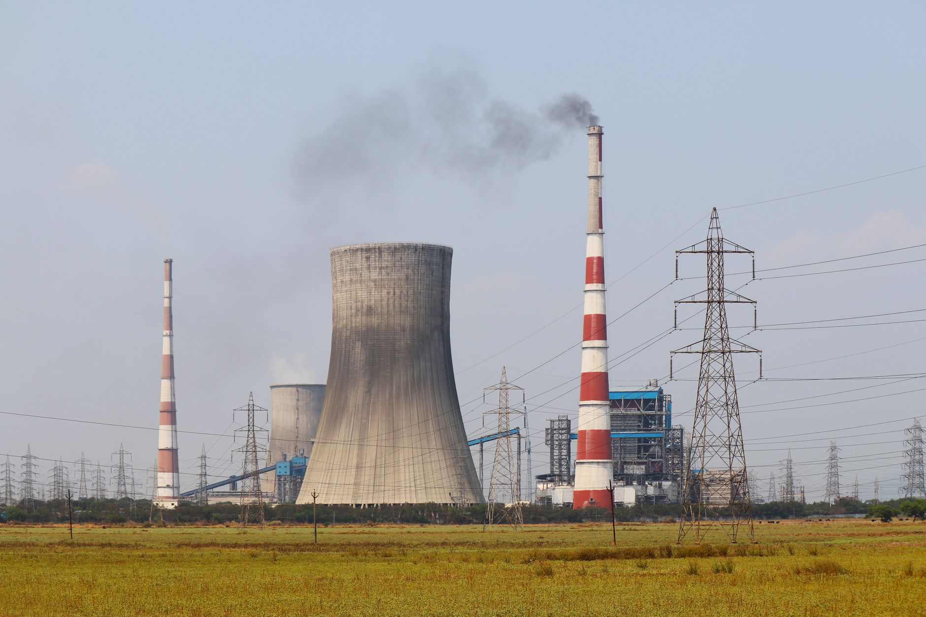 India's Push for Clean Coal: BRICS Event Spotlights Gasification
