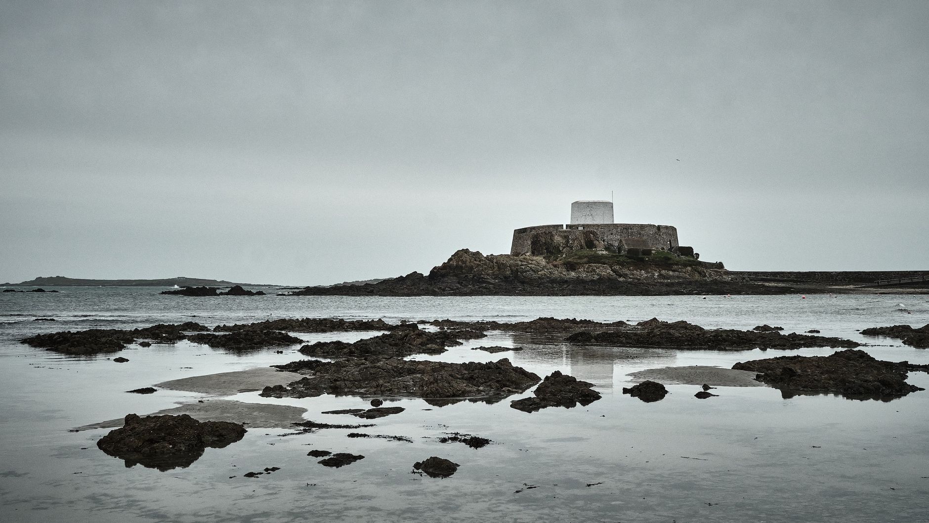 Guernsey's Green Gathering: Islands Unite for Nature