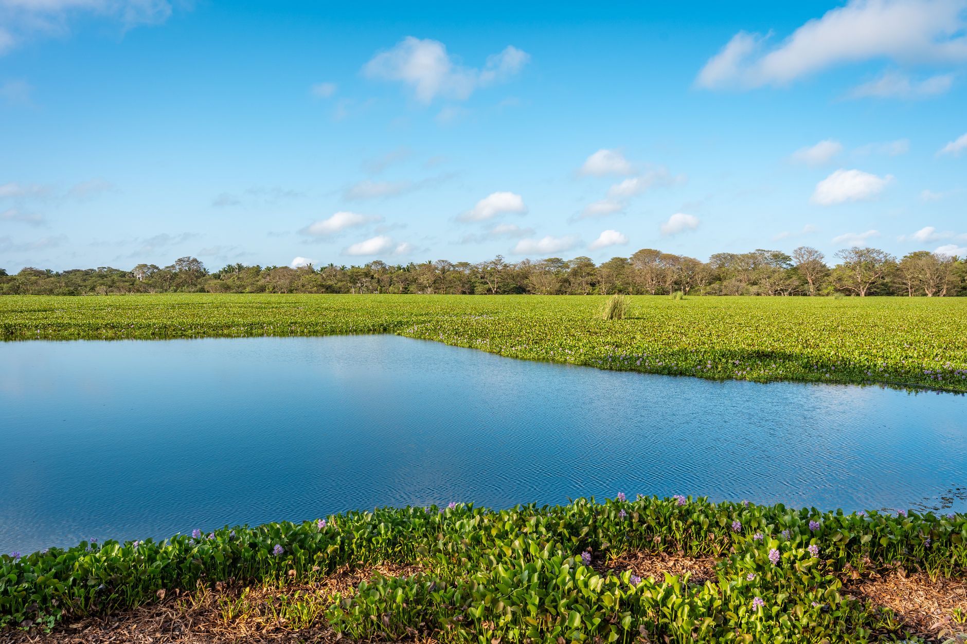 Sri Lanka Enforces Hefty Fines for Environmental Offenders