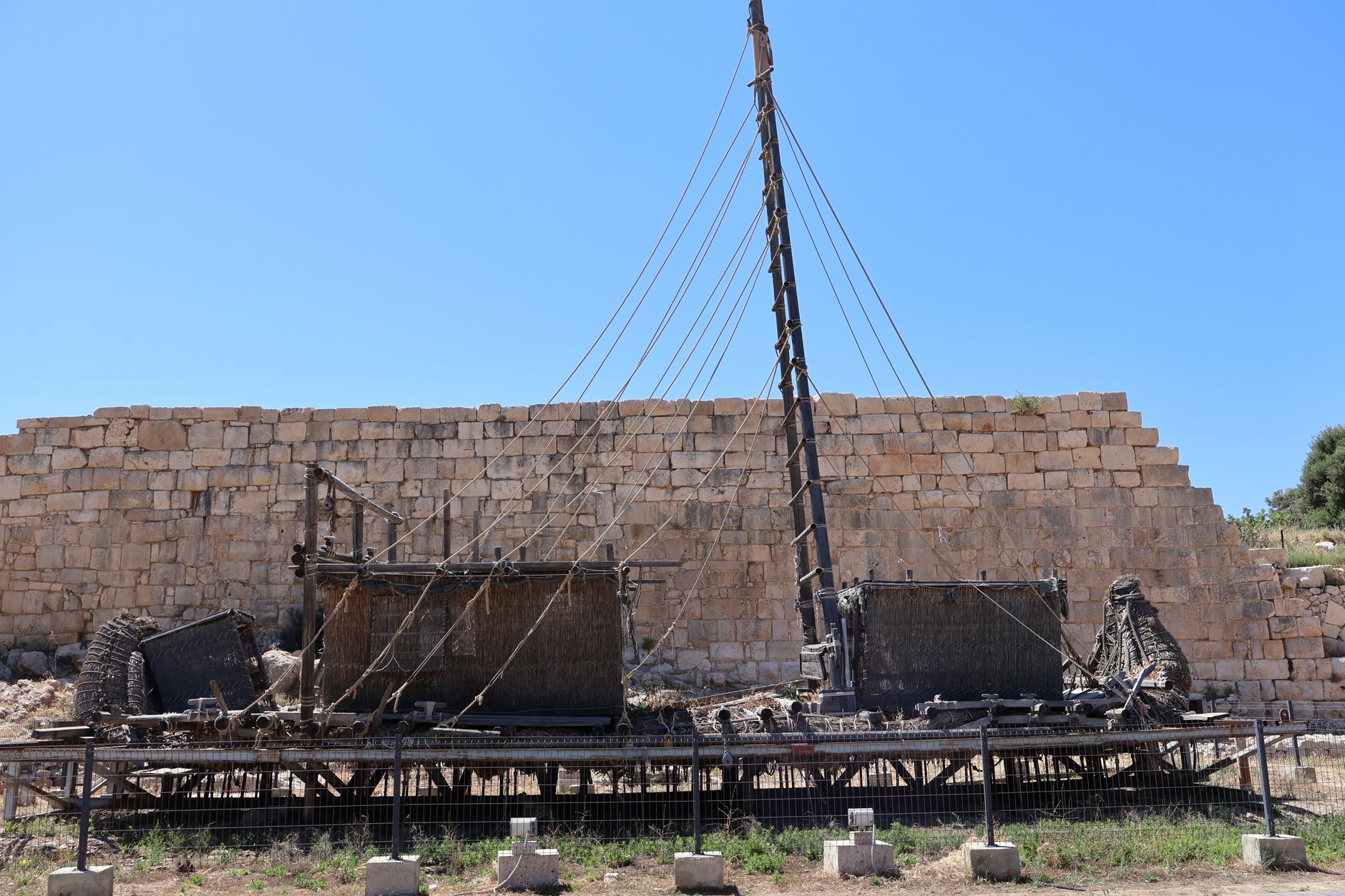 Ancient Marvel: World's Oldest Shipwreck Unearthed off Türkiye