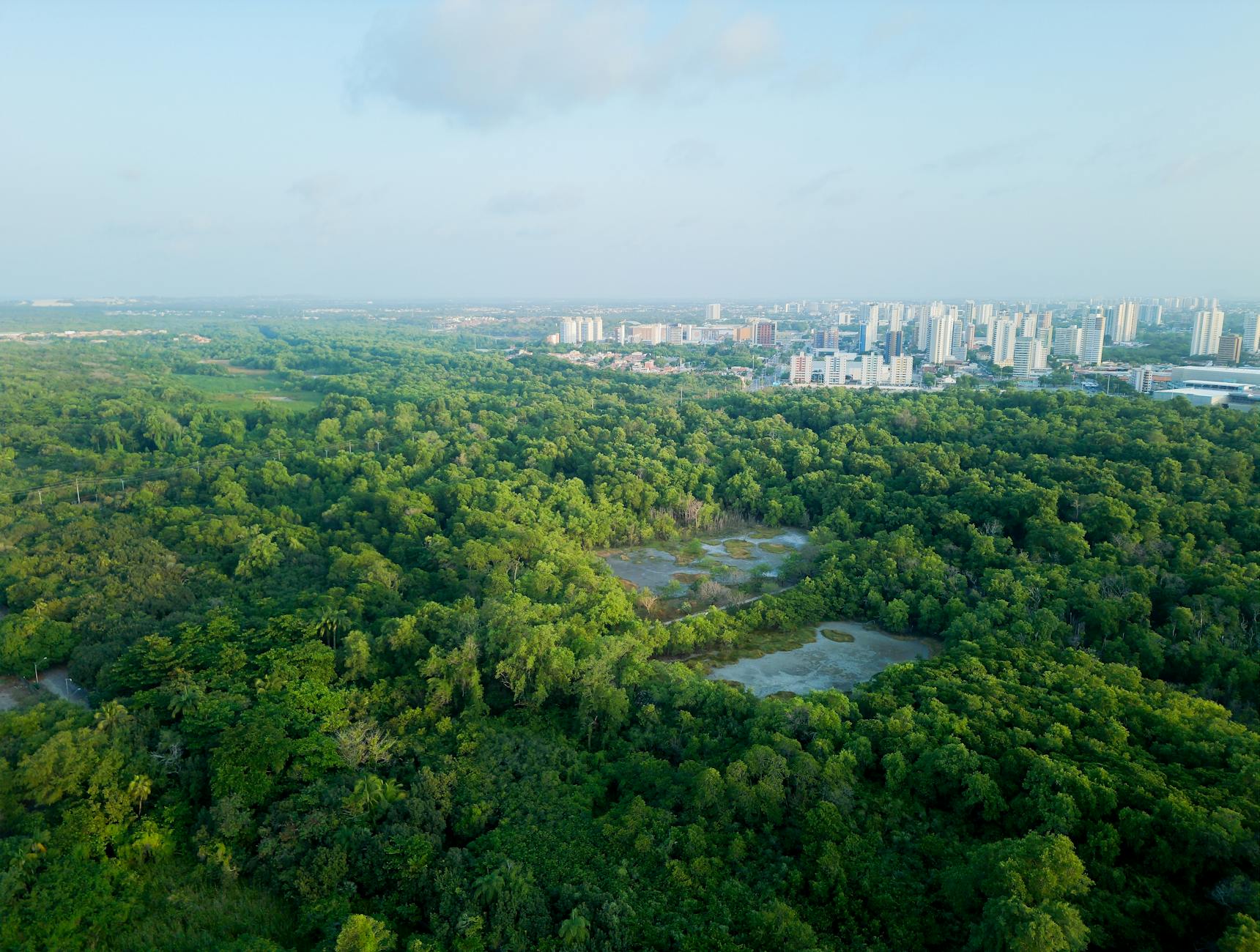 Judiciary's Environmental Remarks Stir Controversy
