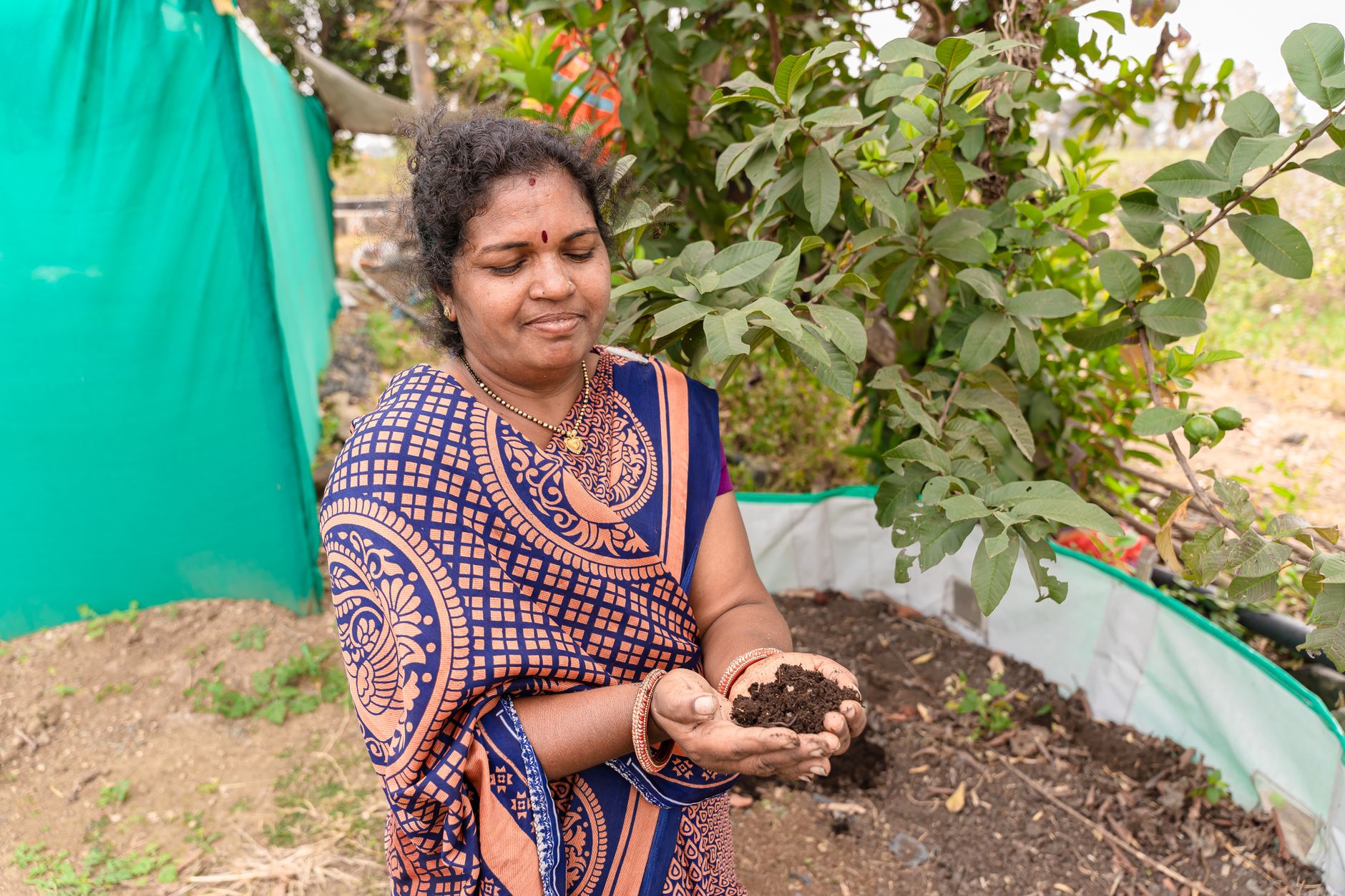 India's Soil Revolution: Science and Sustainability at the Core