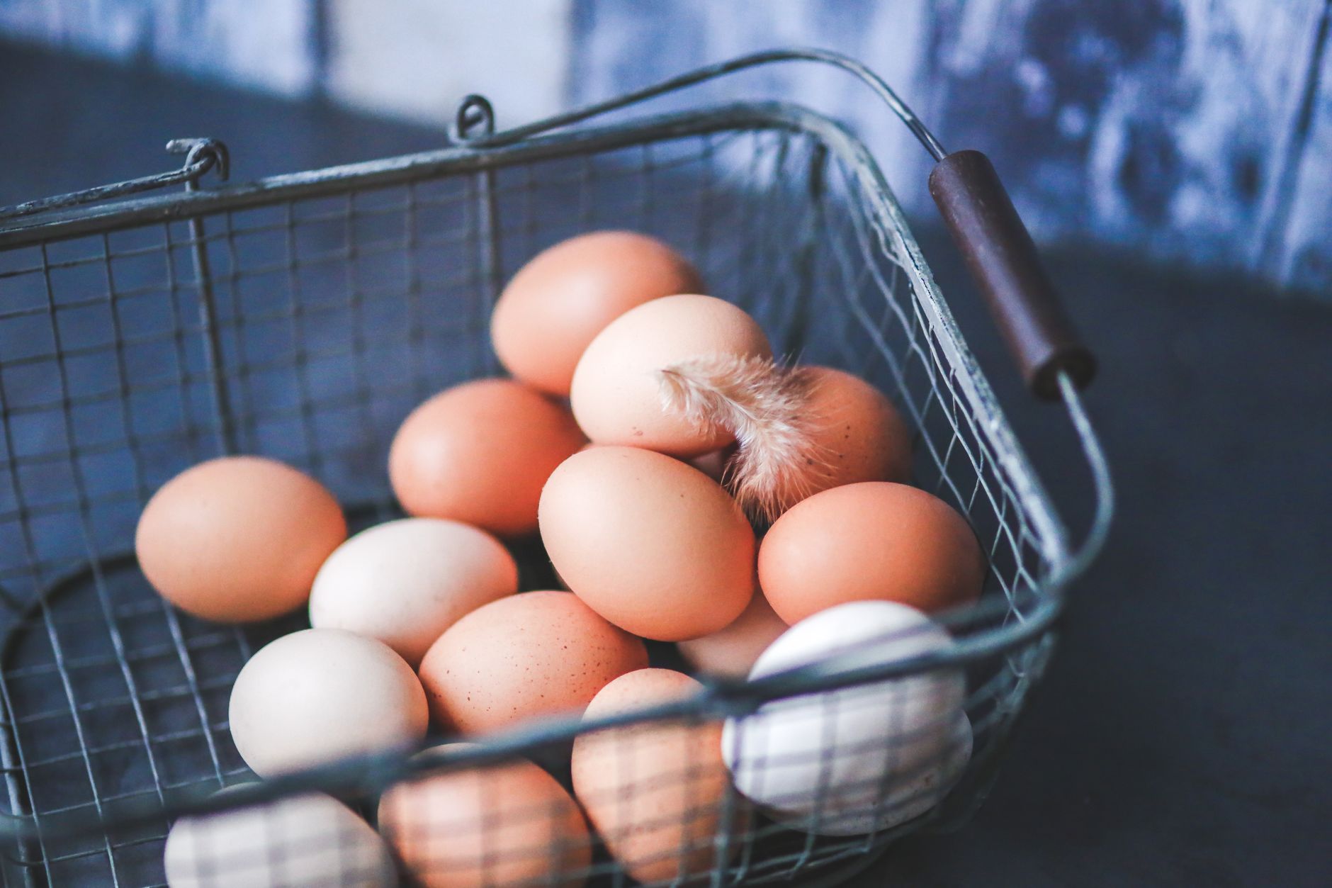 The Climate Dilemma of Organic Eggs: A Grim Reality