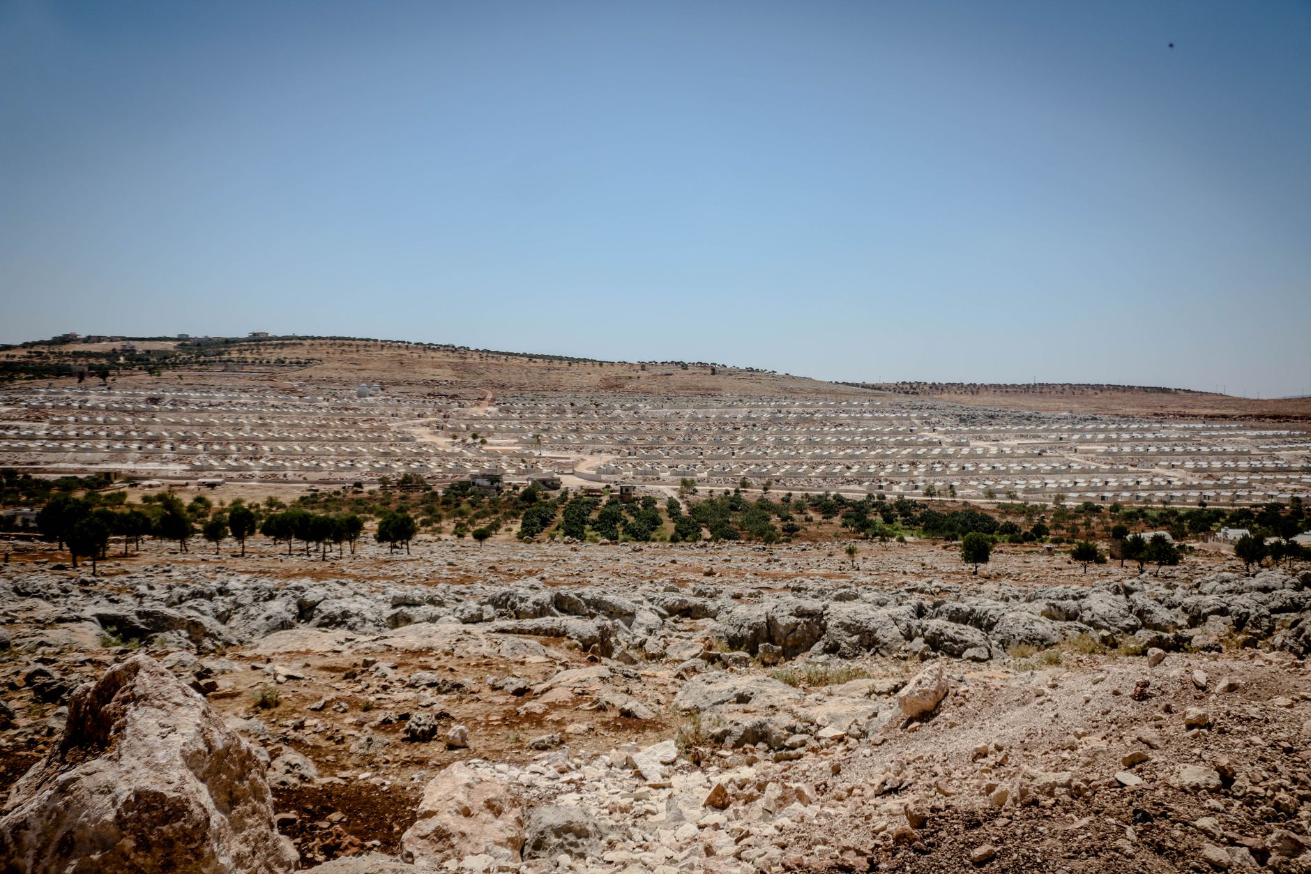 Settlement Expansion: A Veil Over Israeli Setbacks, Says Qaani