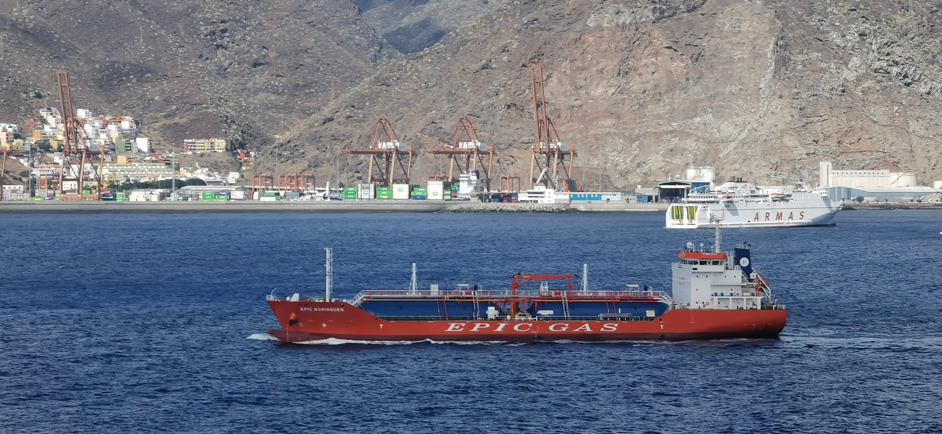 WHO Chief's Unprecedented Message to Tenerife Amid Hantavirus Crisis