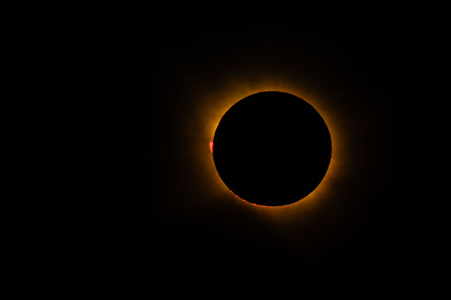 A Solar Spectacle: The Golden Corona of 2026