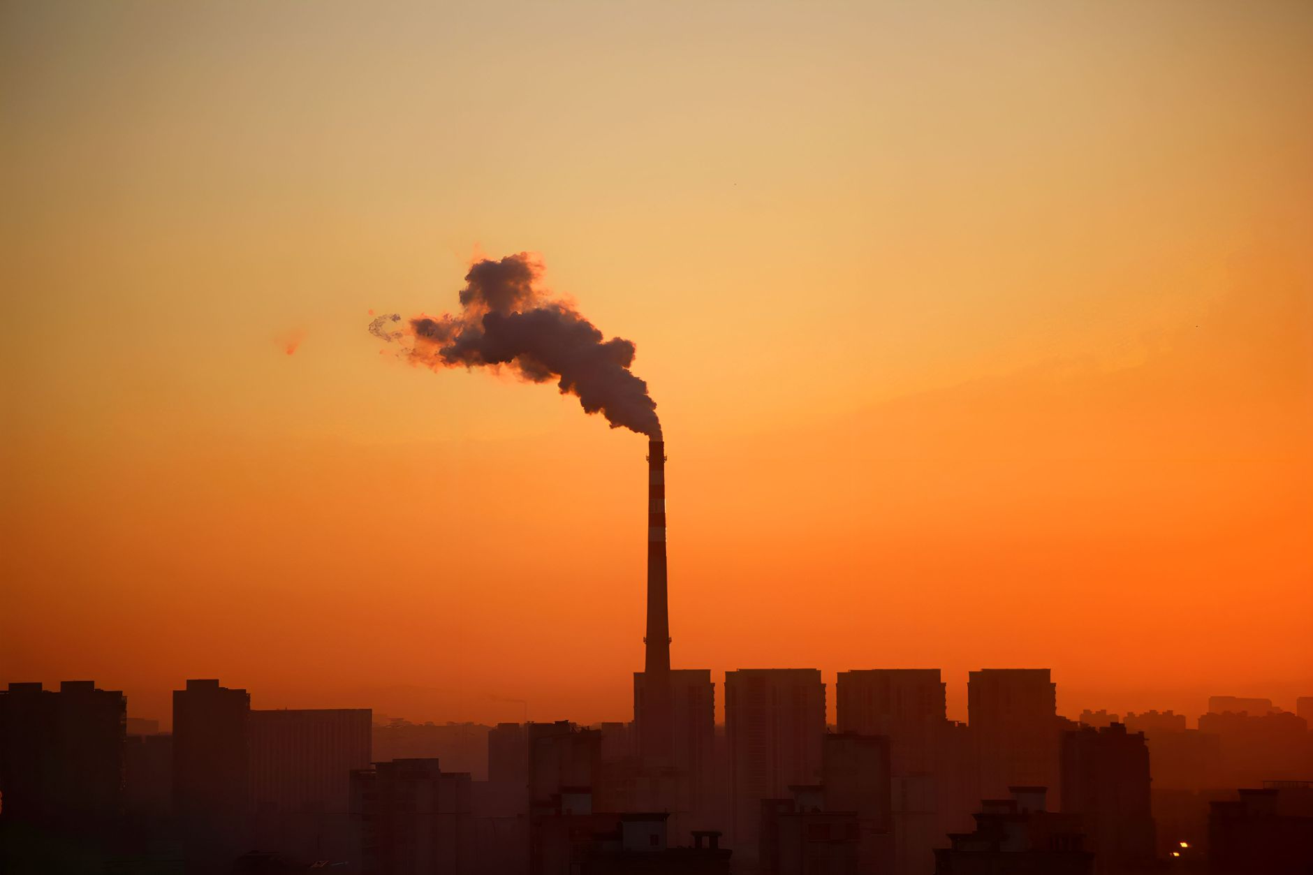 Yorkshire Firms Fined Heavily for Environmental Breaches