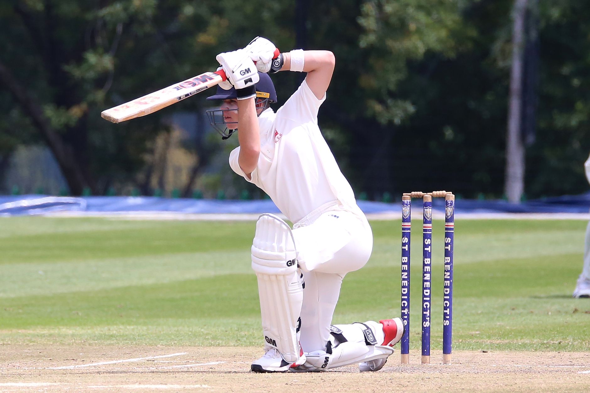 Renshaw's Stellar Century Strengthens World Cup Bid