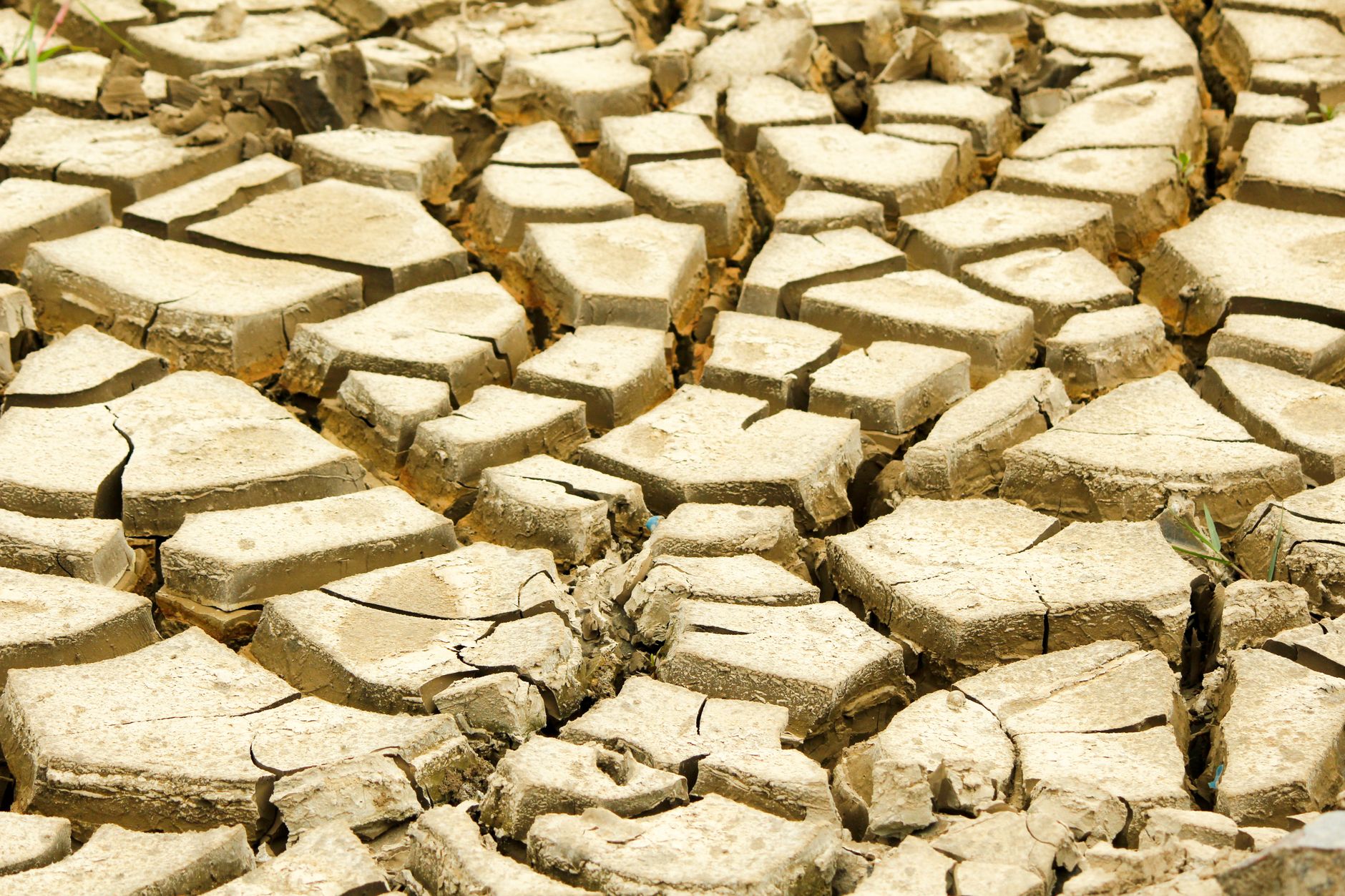 El Niño: Separating Climate Reality from Fearmongering