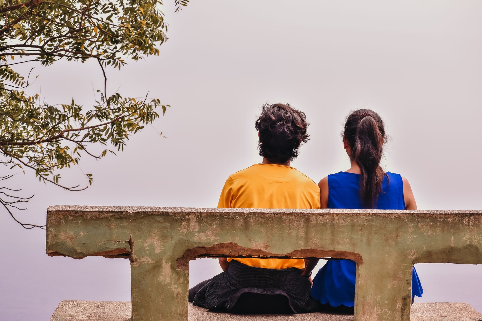 AP ICET 2026: A Concerning Drop in MBA, MCA Enrolments