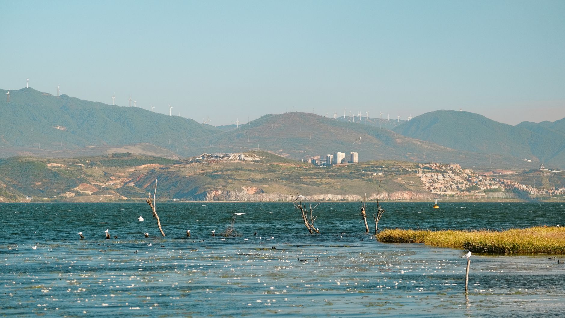 China Tightens Grip on Environmental Fraud