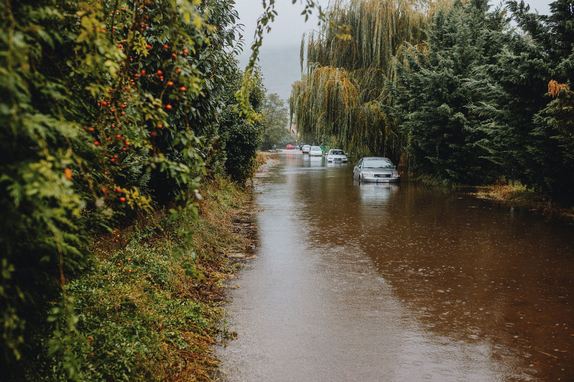 El Niño: Hype or Harbinger? Experts Weigh In