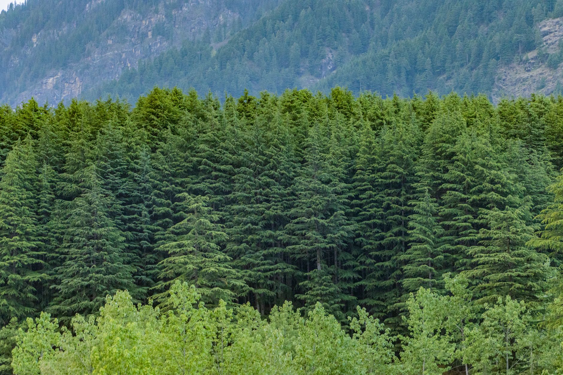 Supreme Court Directs CEC to Address Himachal's Ecological Woes