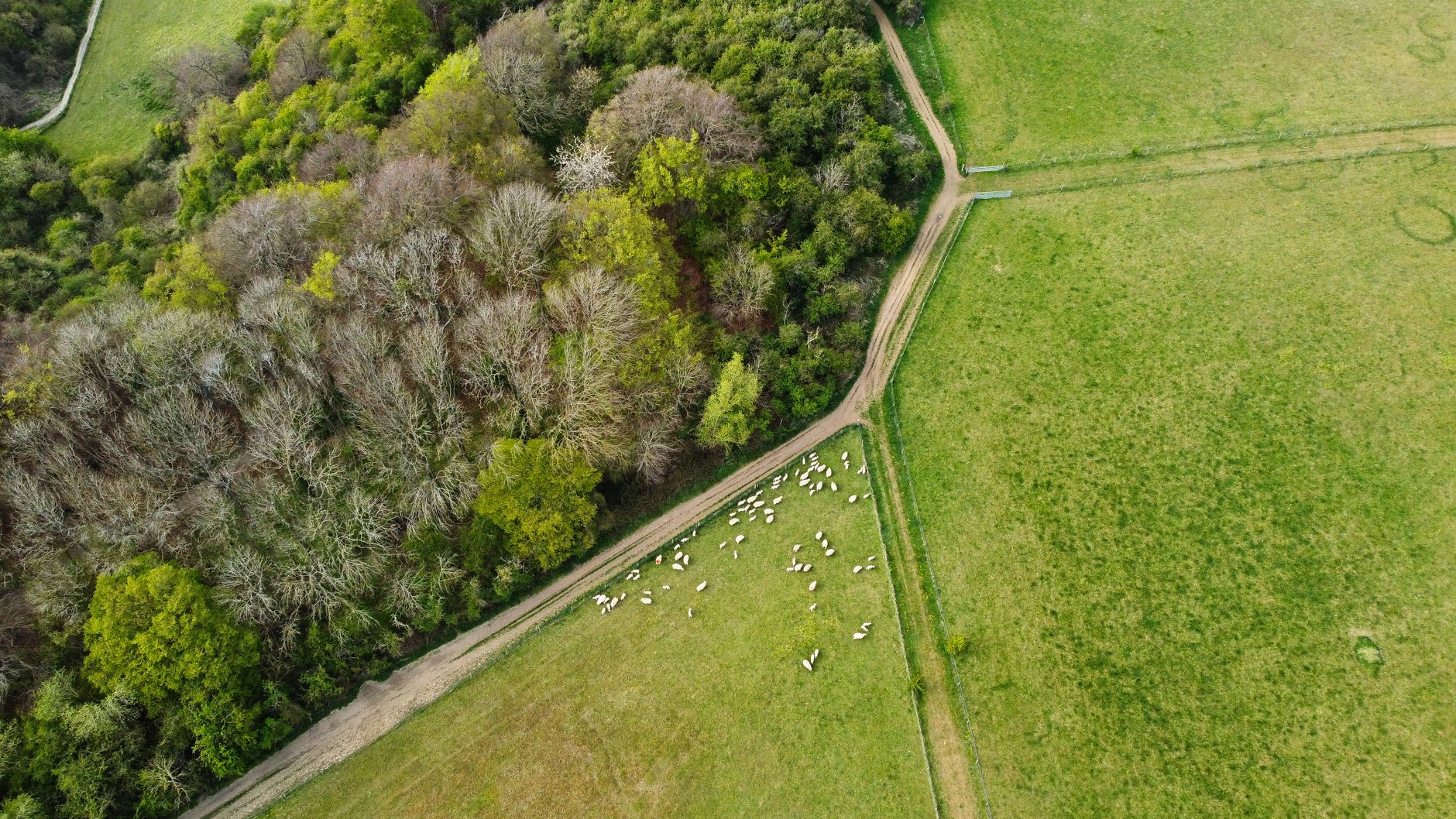 Watchdog Warns UK’s Environmental Goals Are Slipping