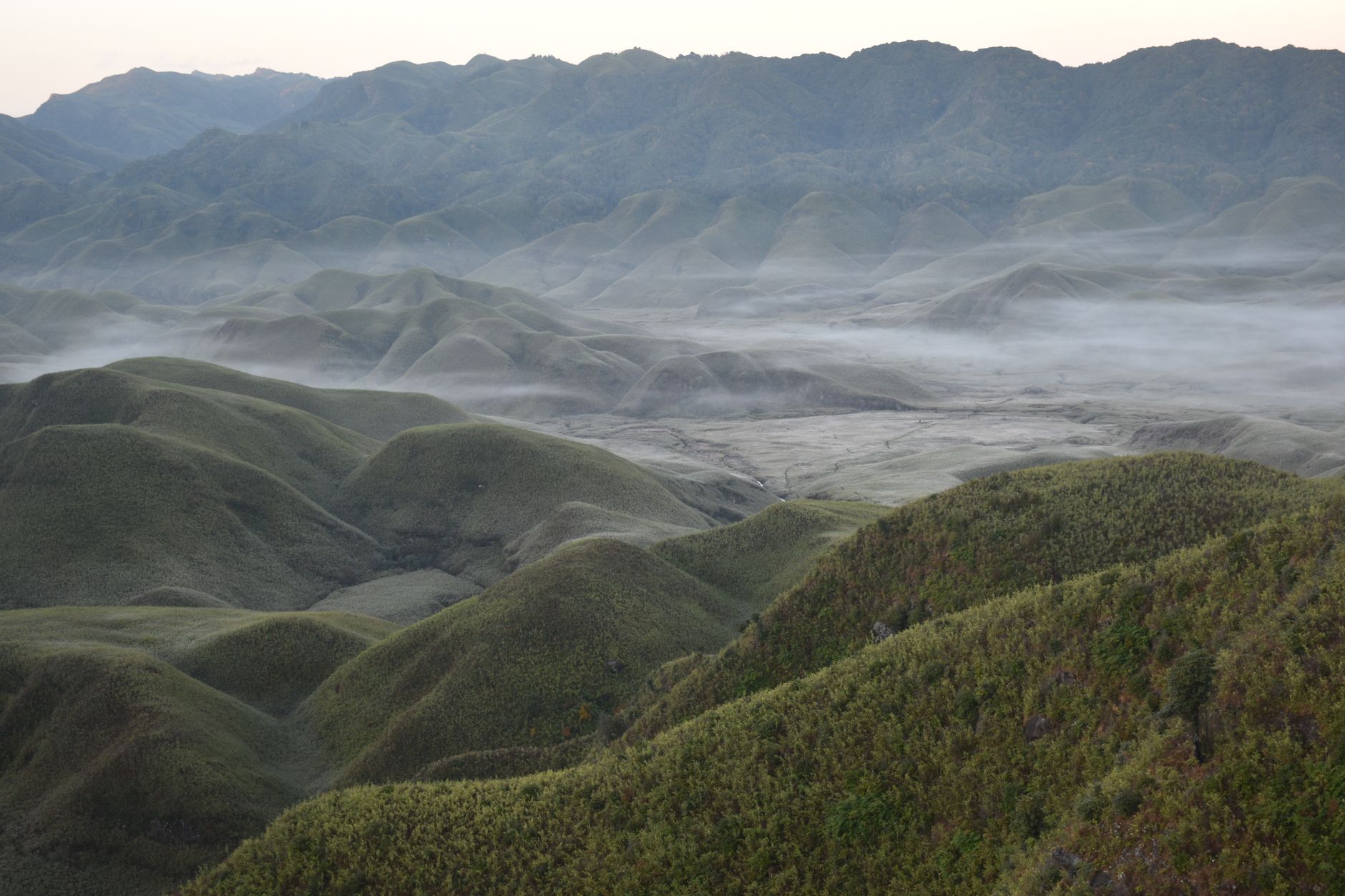 Nagaland's Angh: A Cinematic Triumph on the Global Stage