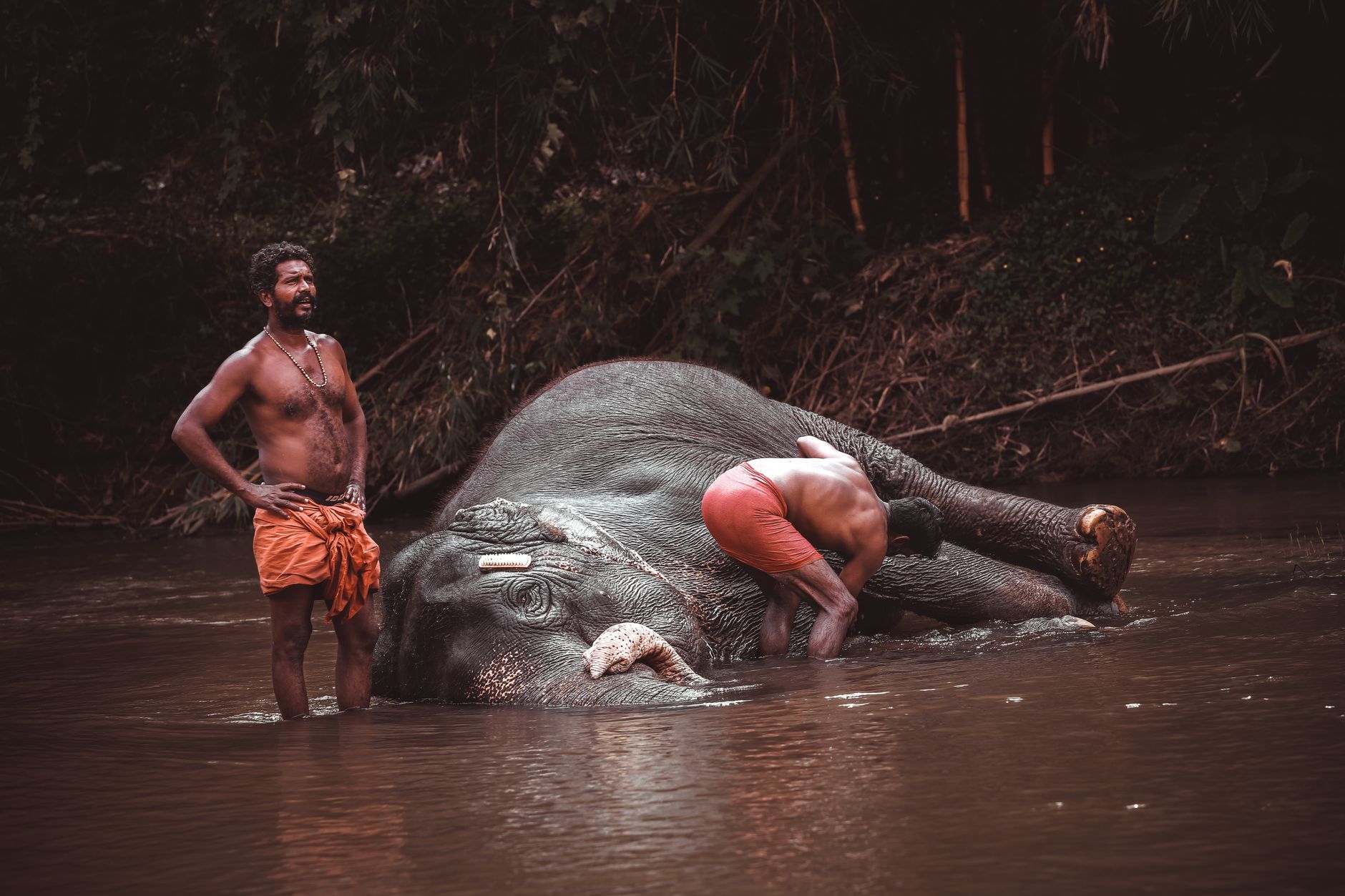Wayanad's Wake-Up Call: Rethinking India's Environmental Assessments