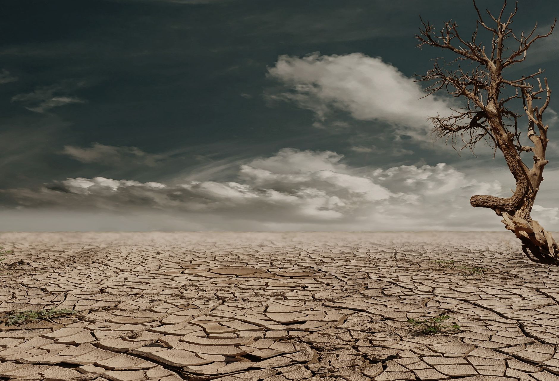 WHO's New Guidelines Aim to Mitigate Heat-Related Health Risks