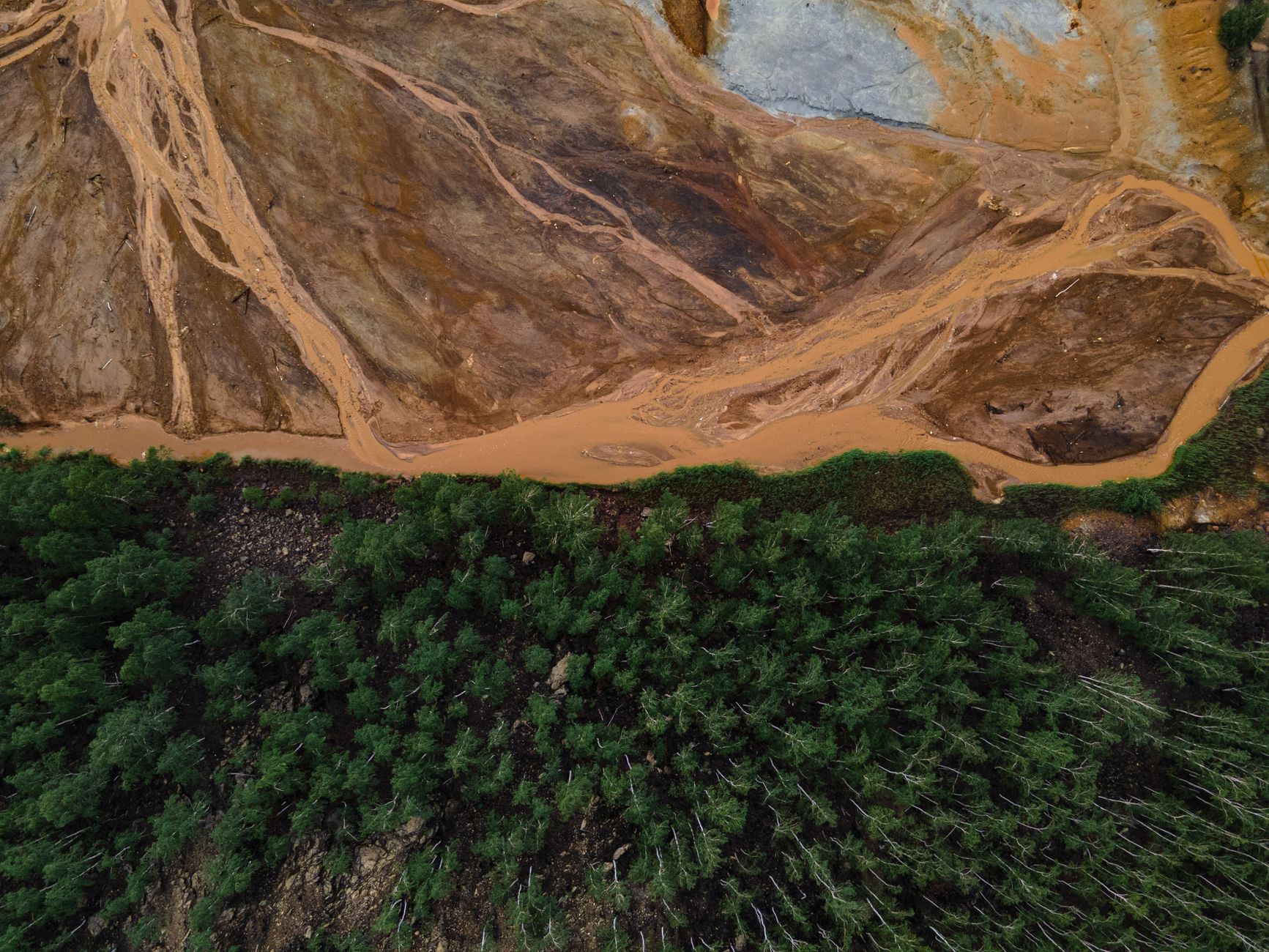 Chinese Mining Firm's Role in Mozambique's Mangrove Loss