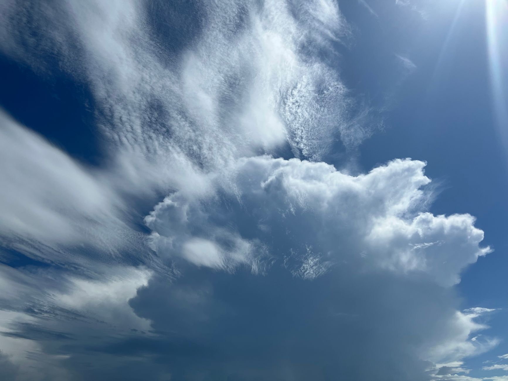 Science Snapshots: Innovations and Insights for June 2026