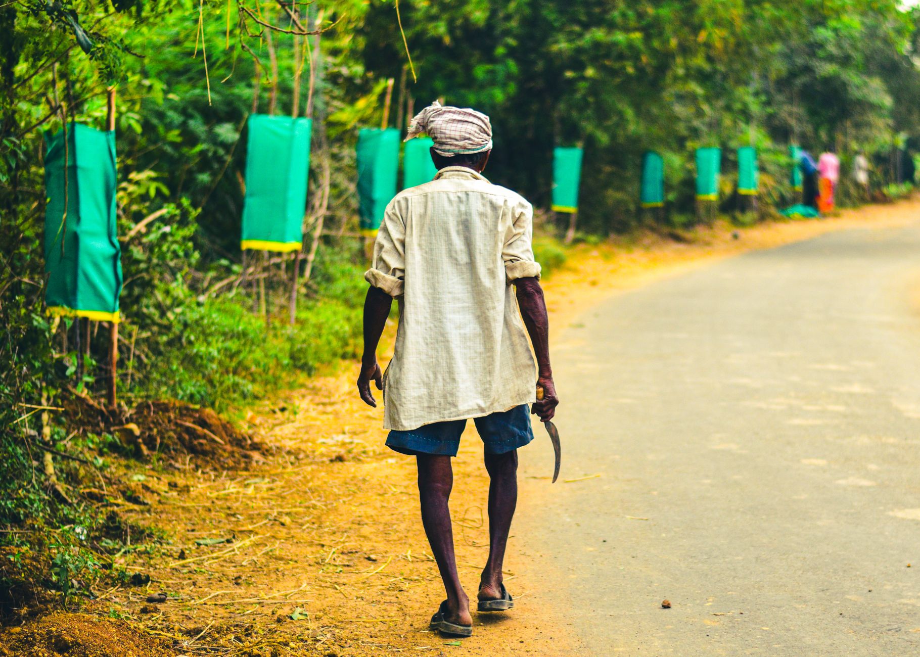 India's Ambitious Plan to Eradicate Sickle Cell Disease by 2047