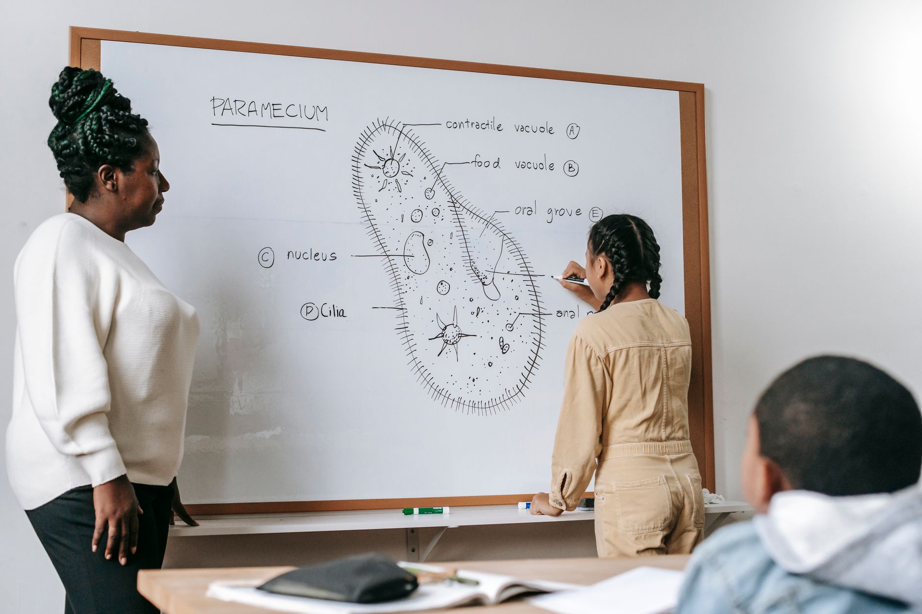 India's Ambitious Education Schemes: A Pathway to Opportunity