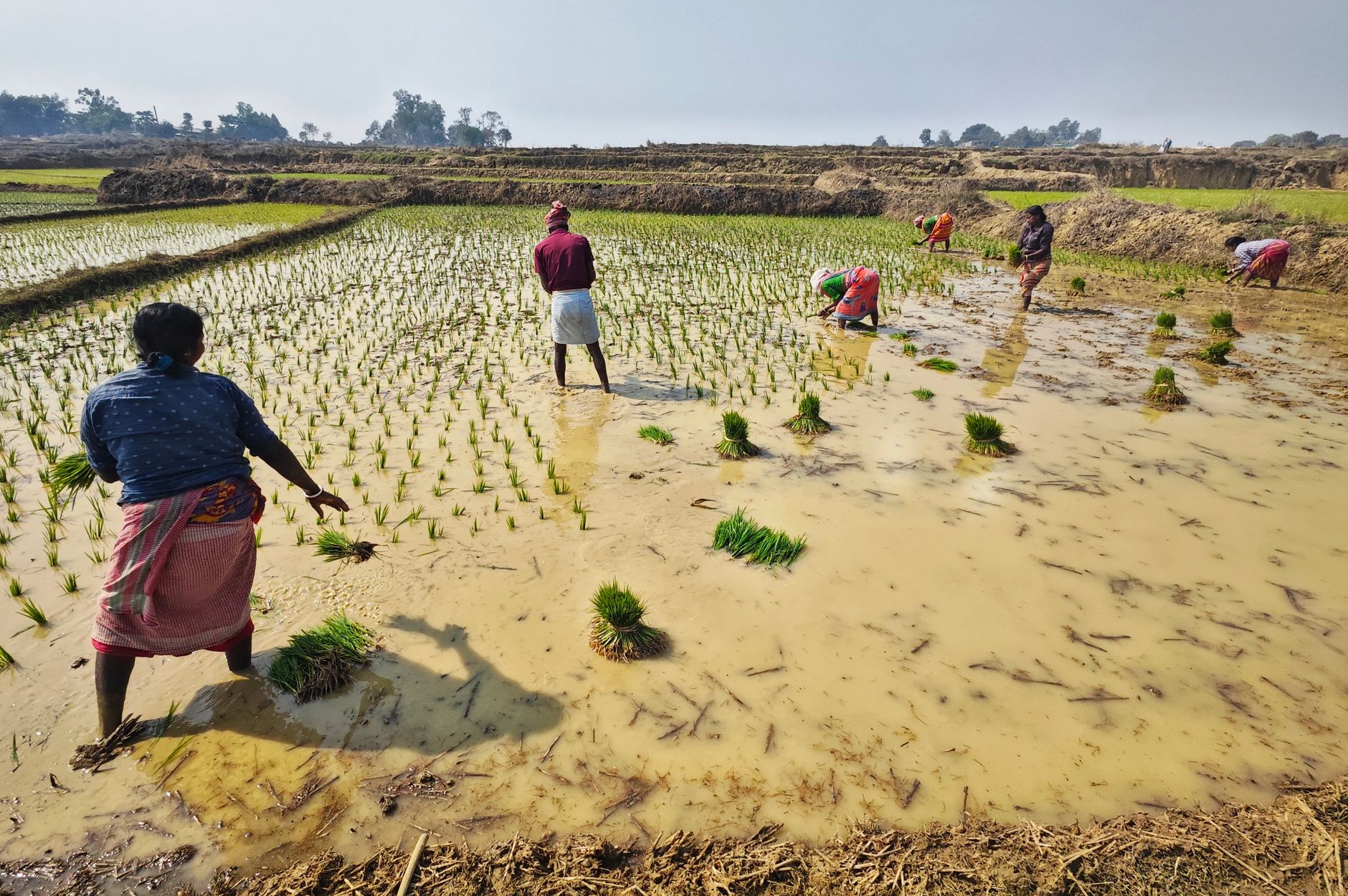 Bengal Eases Land Laws to Woo Investors Amid Challenges
