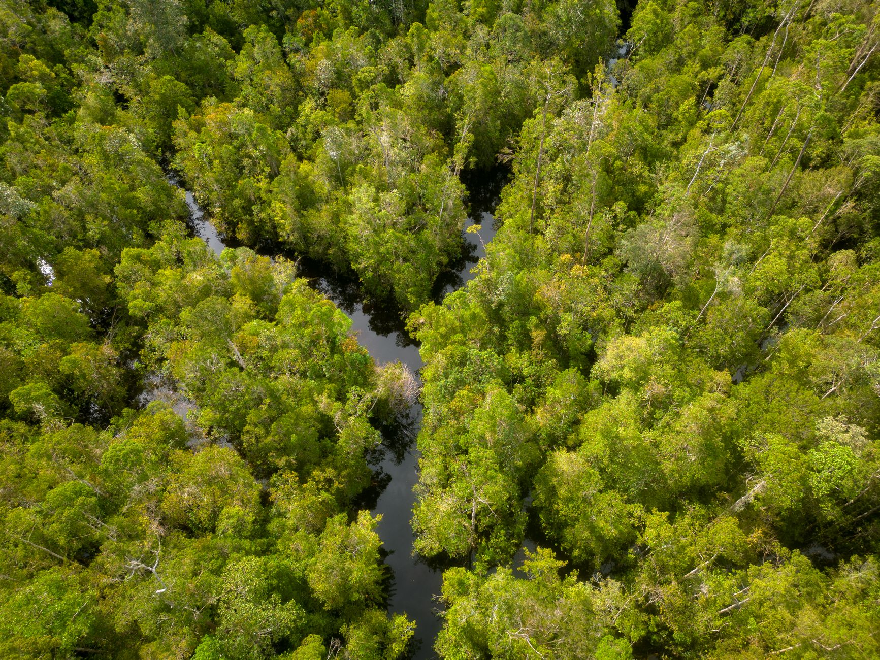 UN Biodiversity Conference Confronts Stark Reality of Nature's Decline