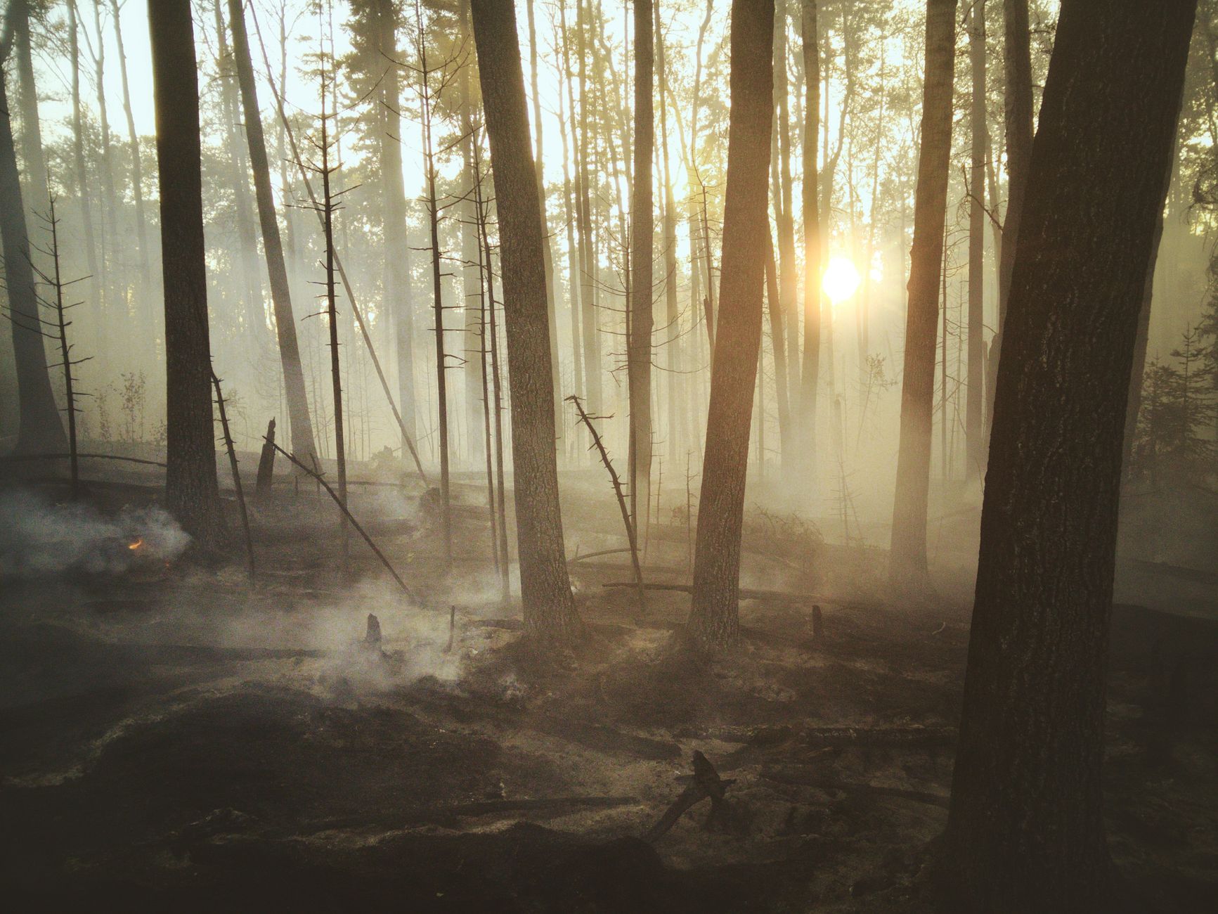 Canada's Forests Ablaze as Ontario Fires Rage On