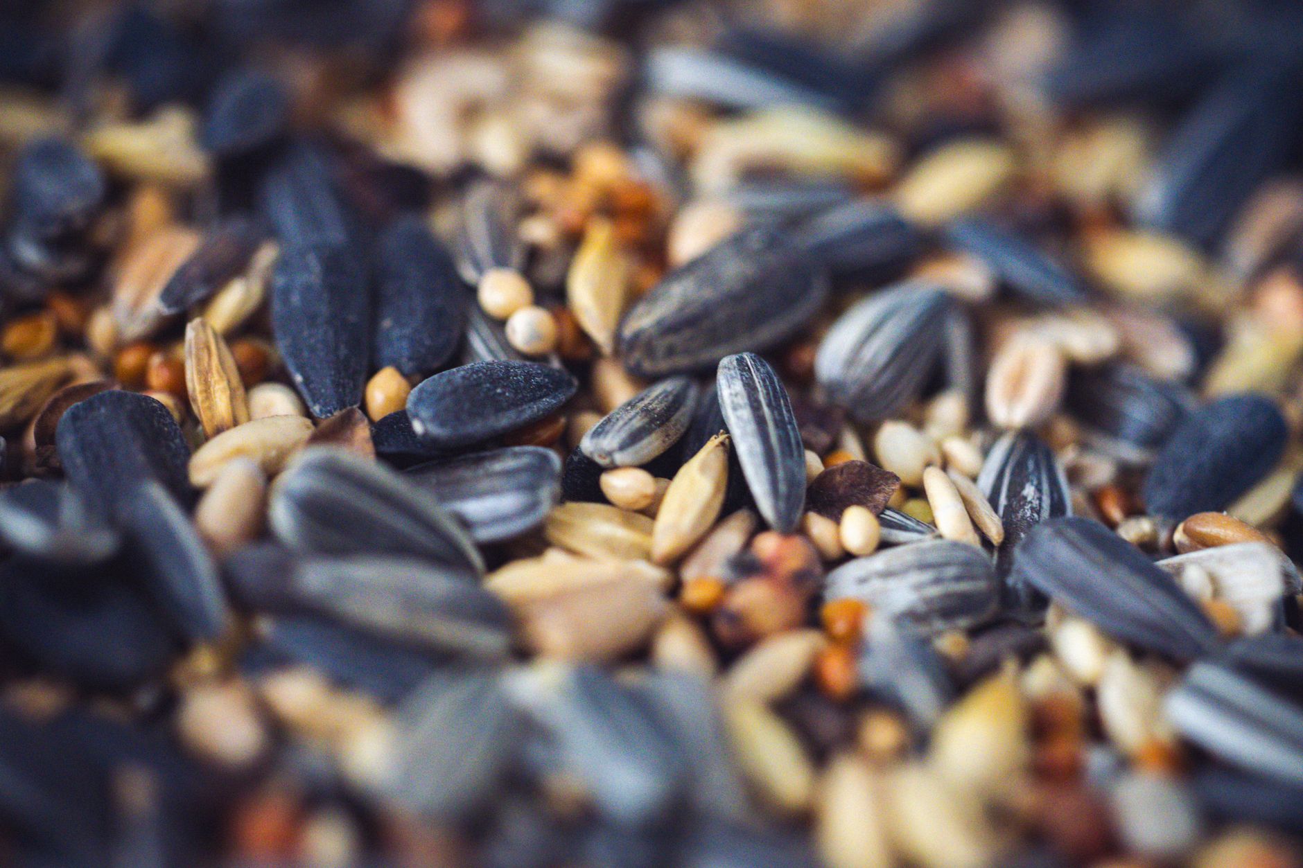 Supercharged Millet: A Gut-Friendly Solution for Iron Deficiency in Children