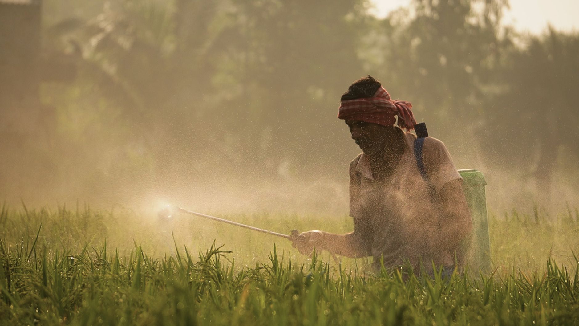Modi Calls on Space Startups to Cultivate Agricultural and Environmental Solutions