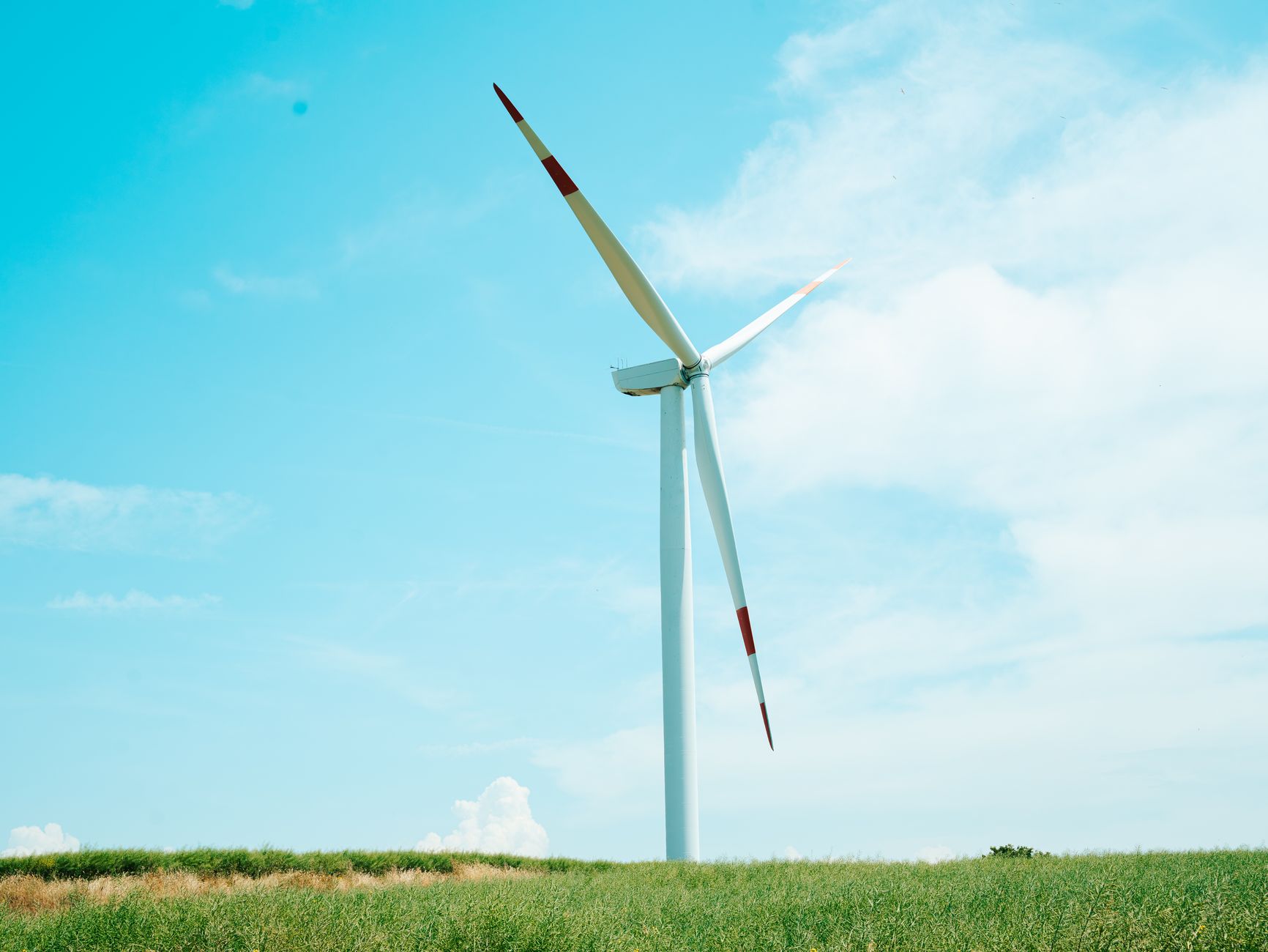 Sustainable Innovations: Wind Sleds and Coral Revival Brighten 2026