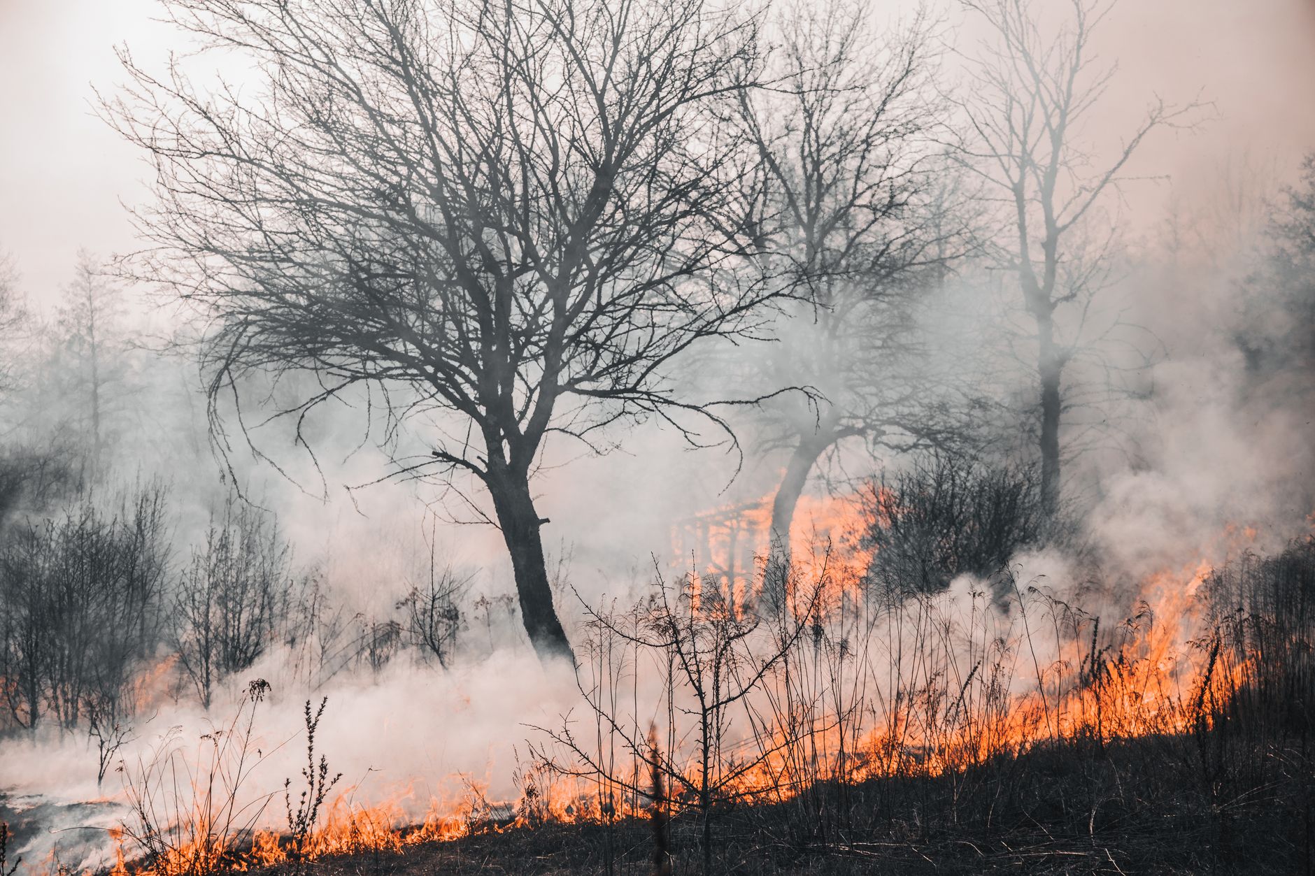 The Accelerating Heat: Europe's Race Against Climate Change