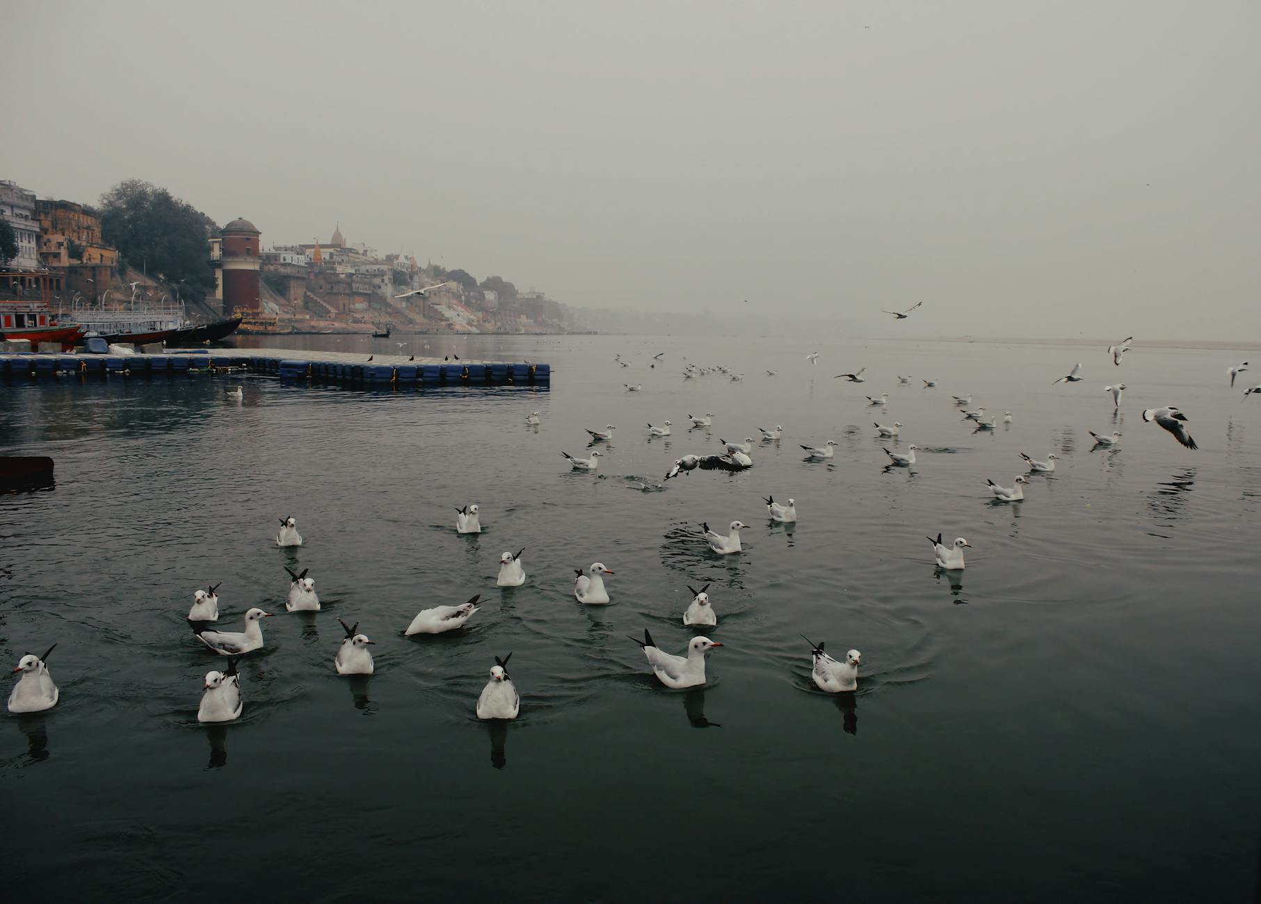 Ganga Samagra's Pledge: Protecting India's Sacred Lifeline