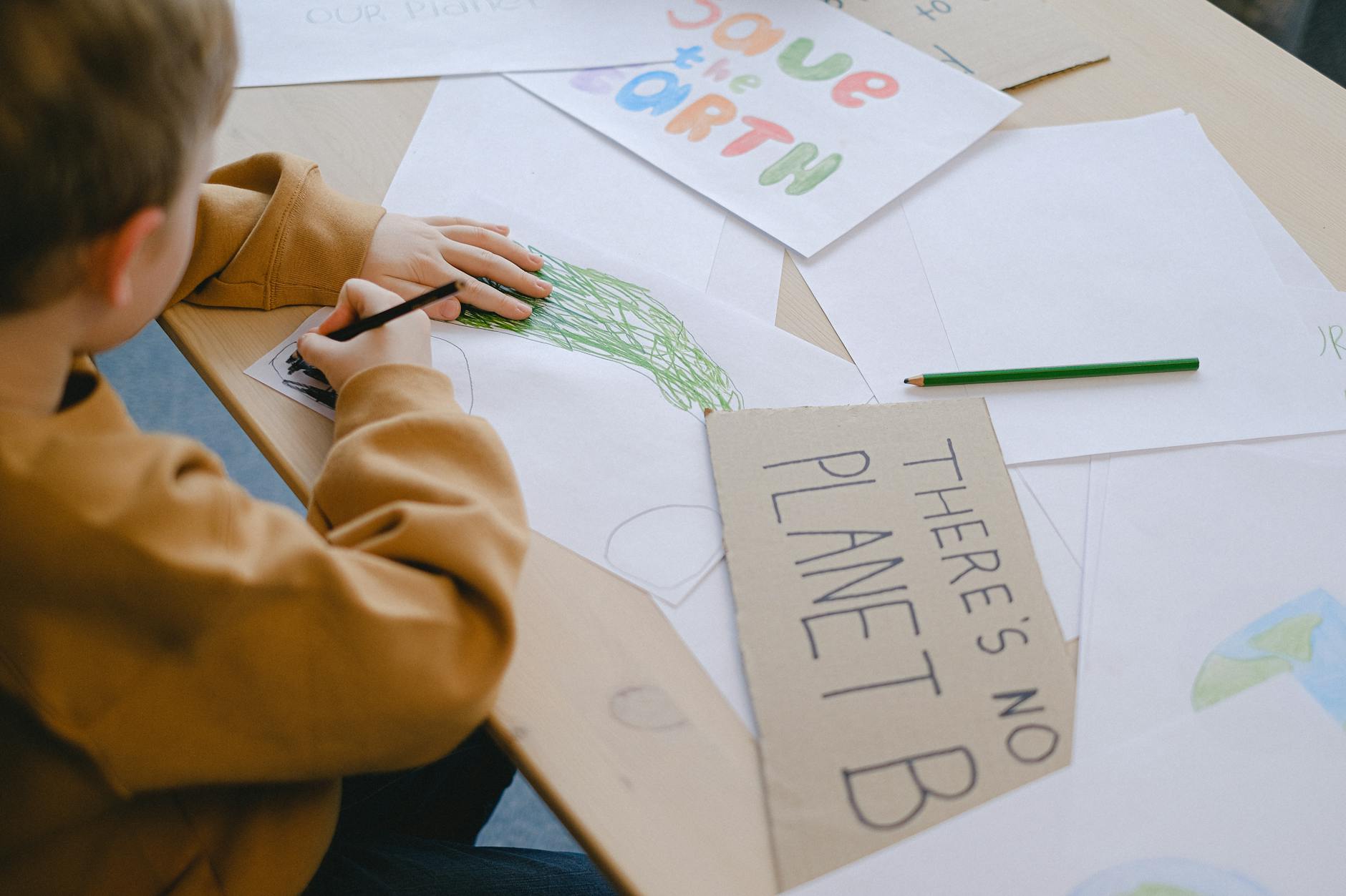 Green Summer Camps Initiative: Schools to Foster Eco-Consciousness