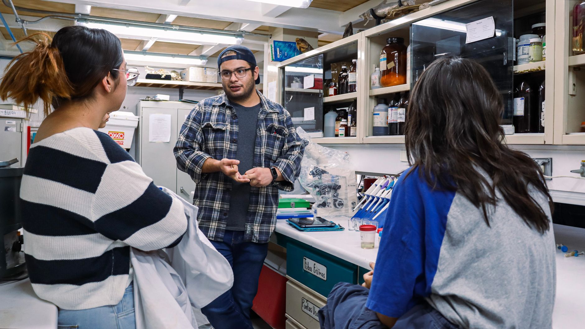 Minnesota Scientists Edge Closer to Lab-Created Life Forms