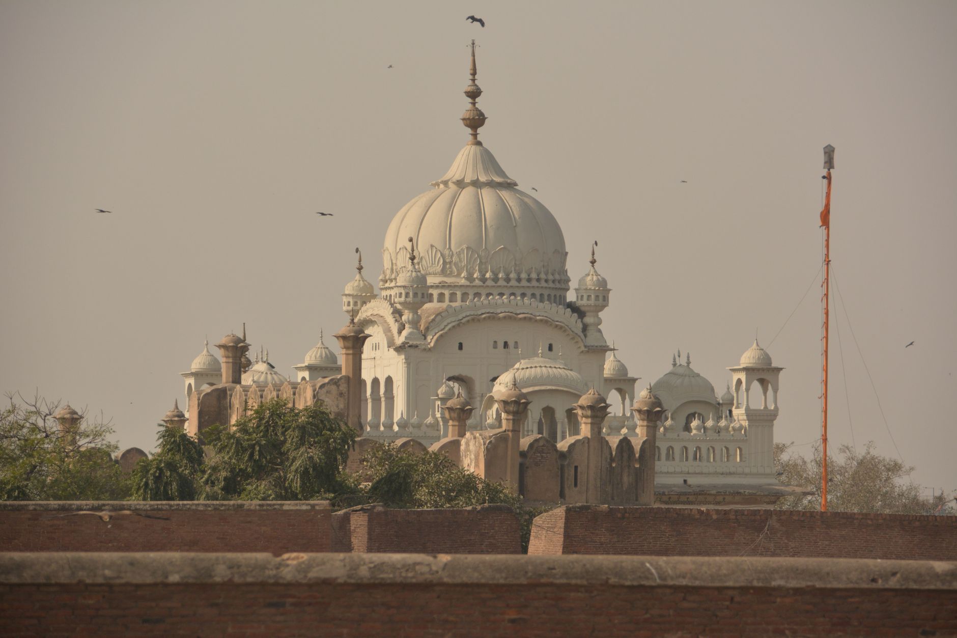 Rising Political Momentum for Release of Sikh Prisoners in Punjab