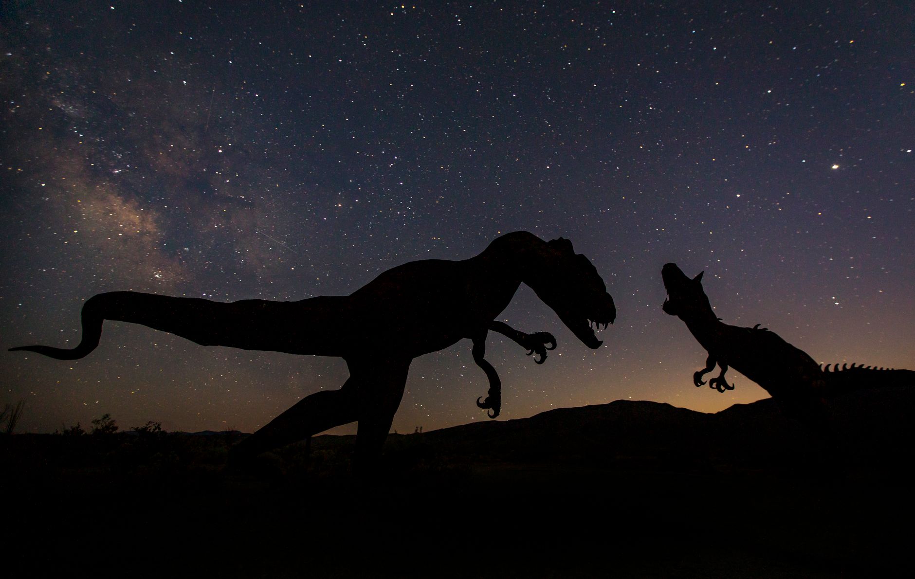 Galactic Mysteries and Extinction Insights: Science Highlights