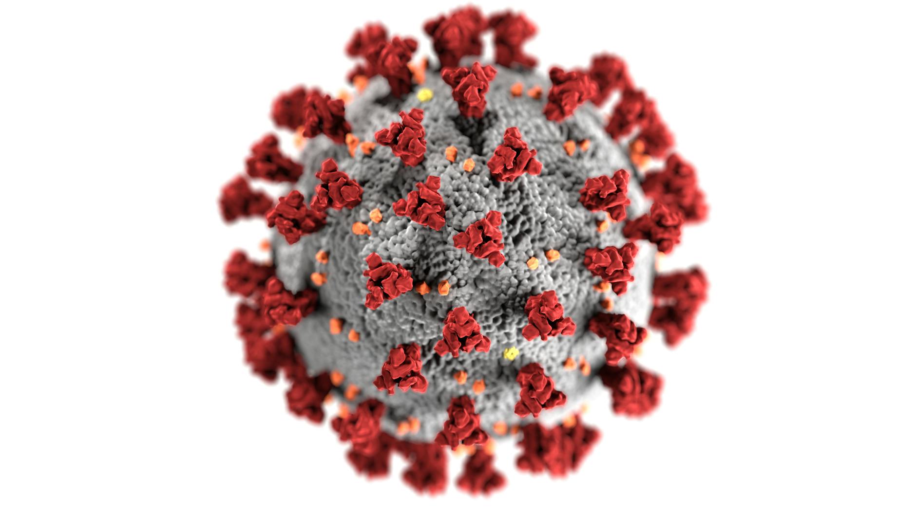 Ebola Emergency: UK Issues State Alerts Amid Global Health Threat