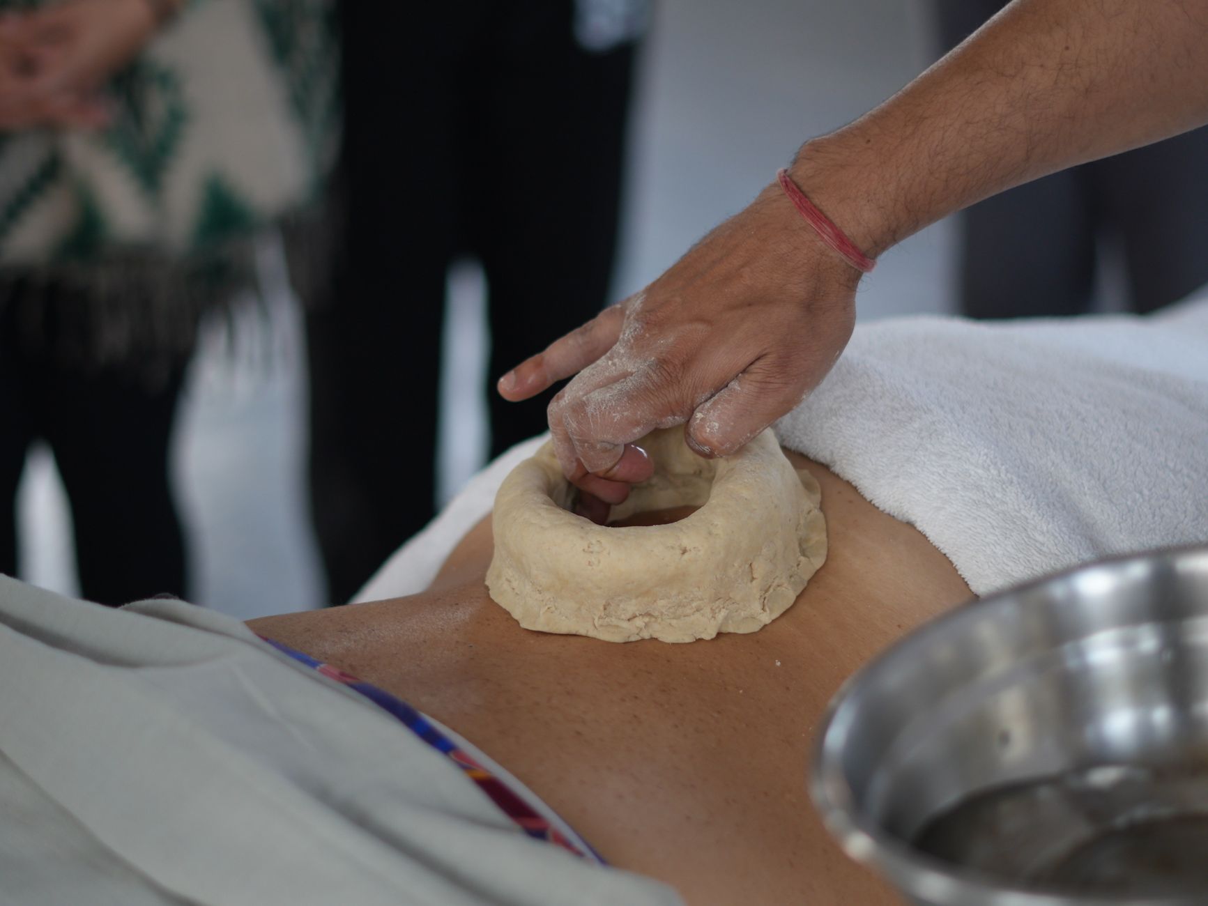 President Advocates Fusion of Ayurveda and Modern Science