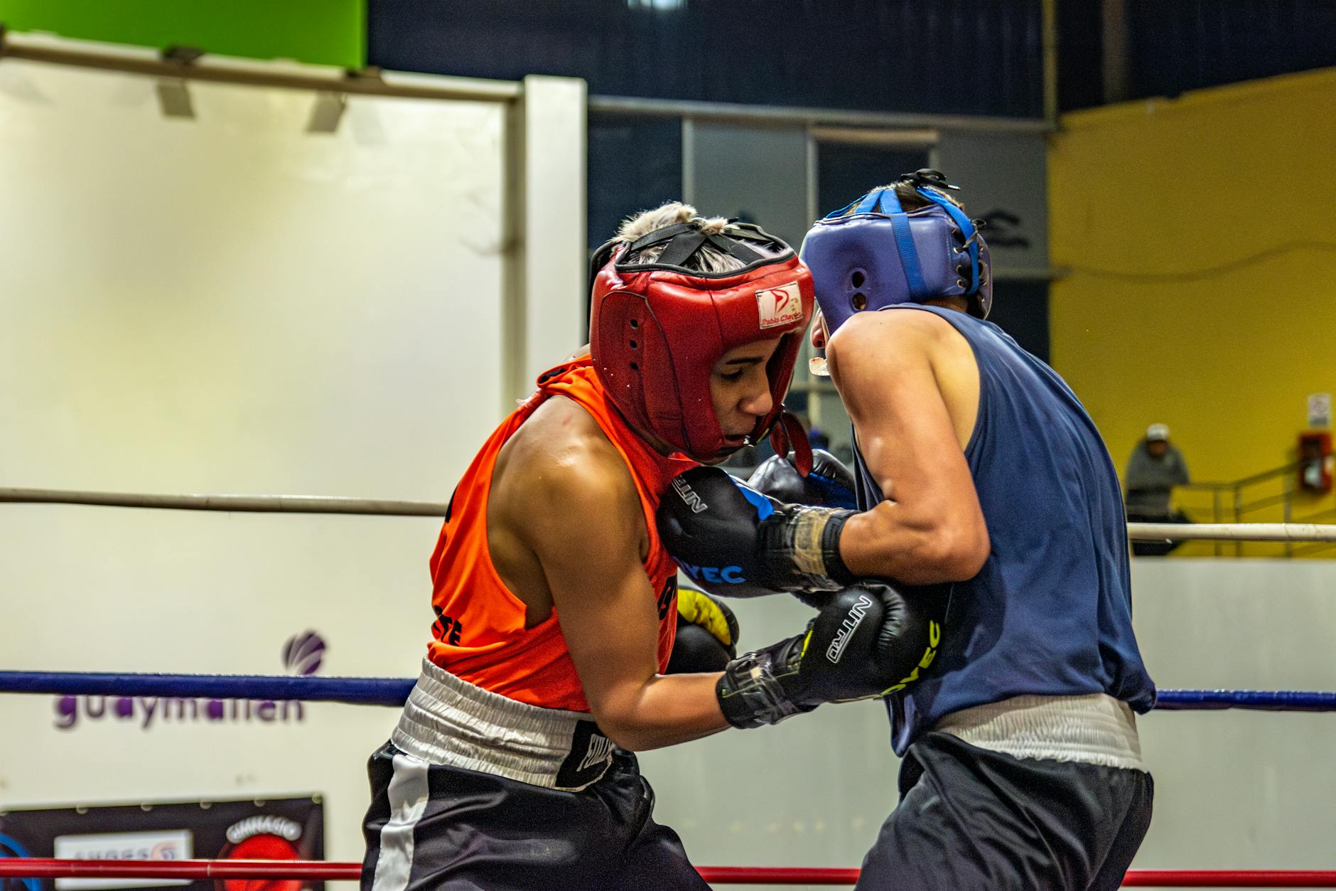 Boxing Federation Faces Scrutiny: Sports Ministry Demands Answers