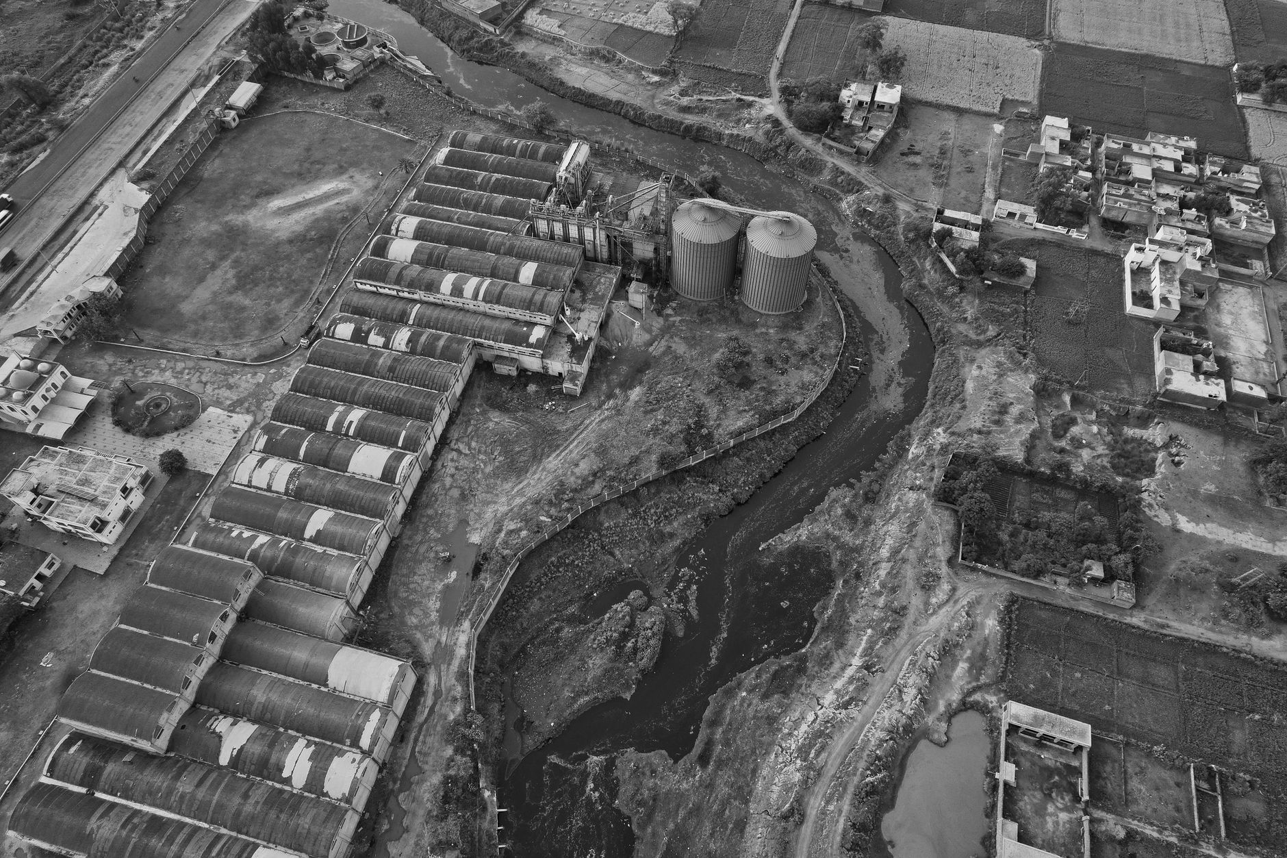 RIICO's Environment Cadre Proposal: A New Green Initiative
