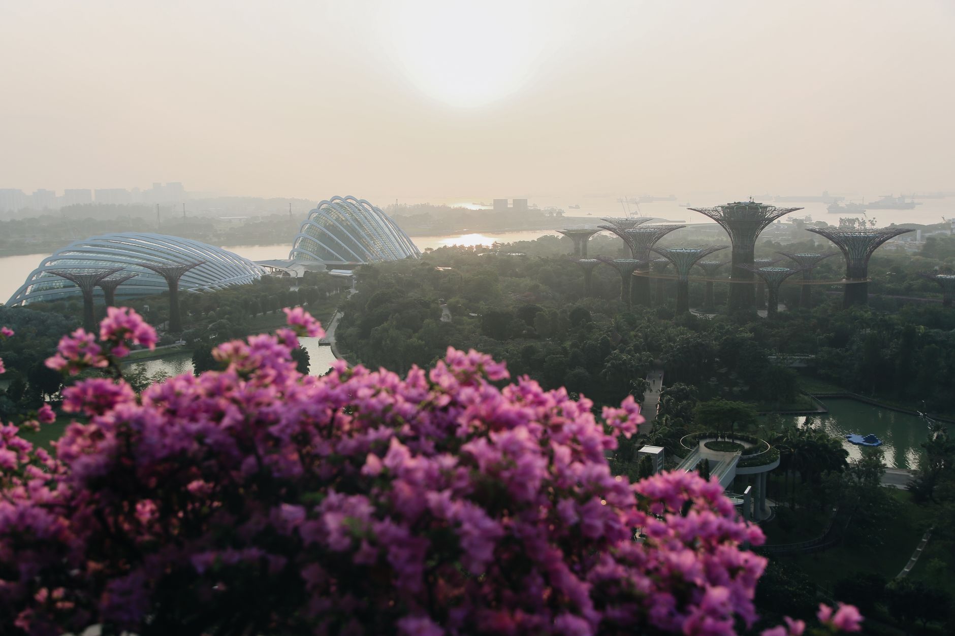 Singapore Halts APP's Green Certification Amid Haze Concerns