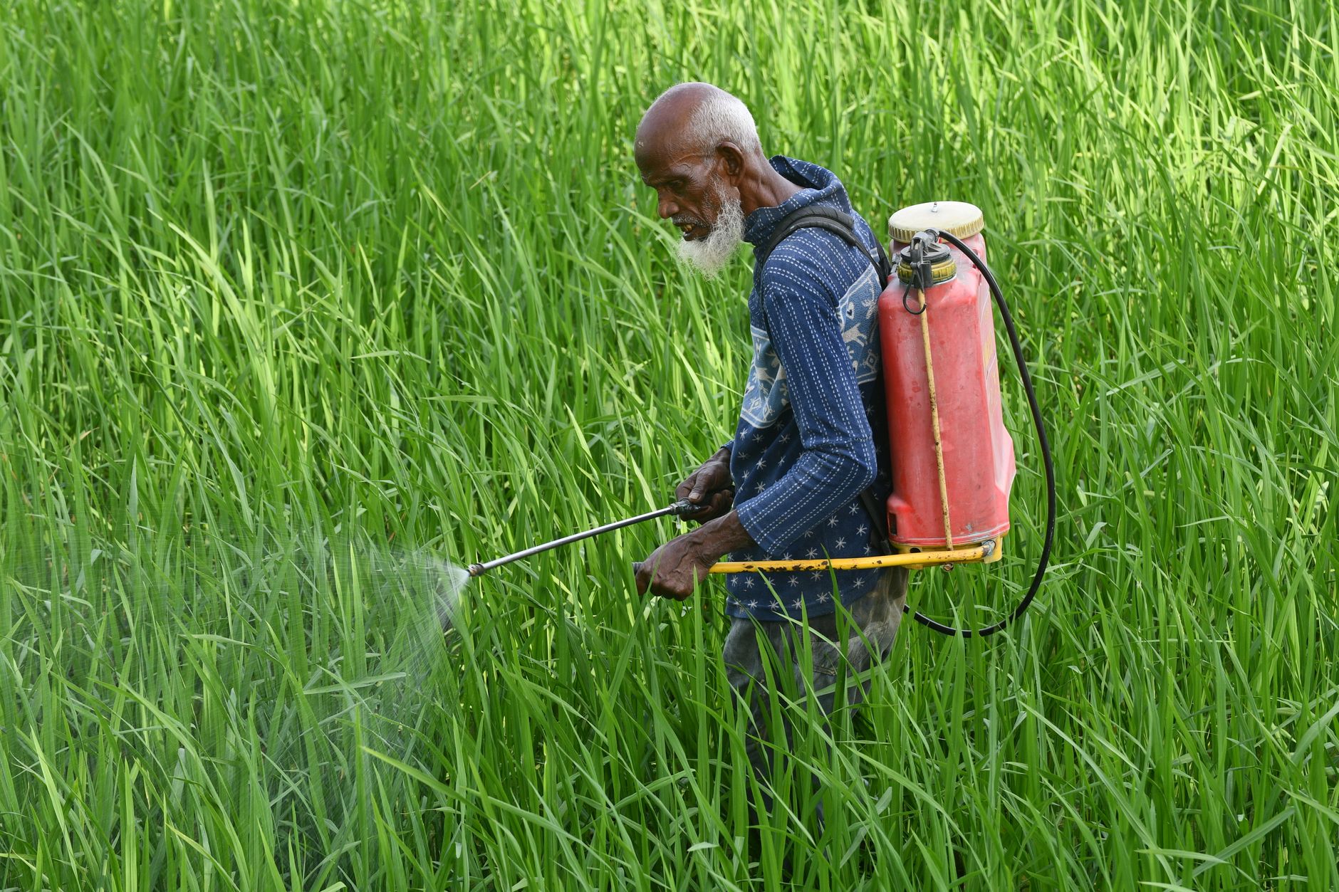 Shocking Study Links Common Pesticide to Parkinson’s Risk