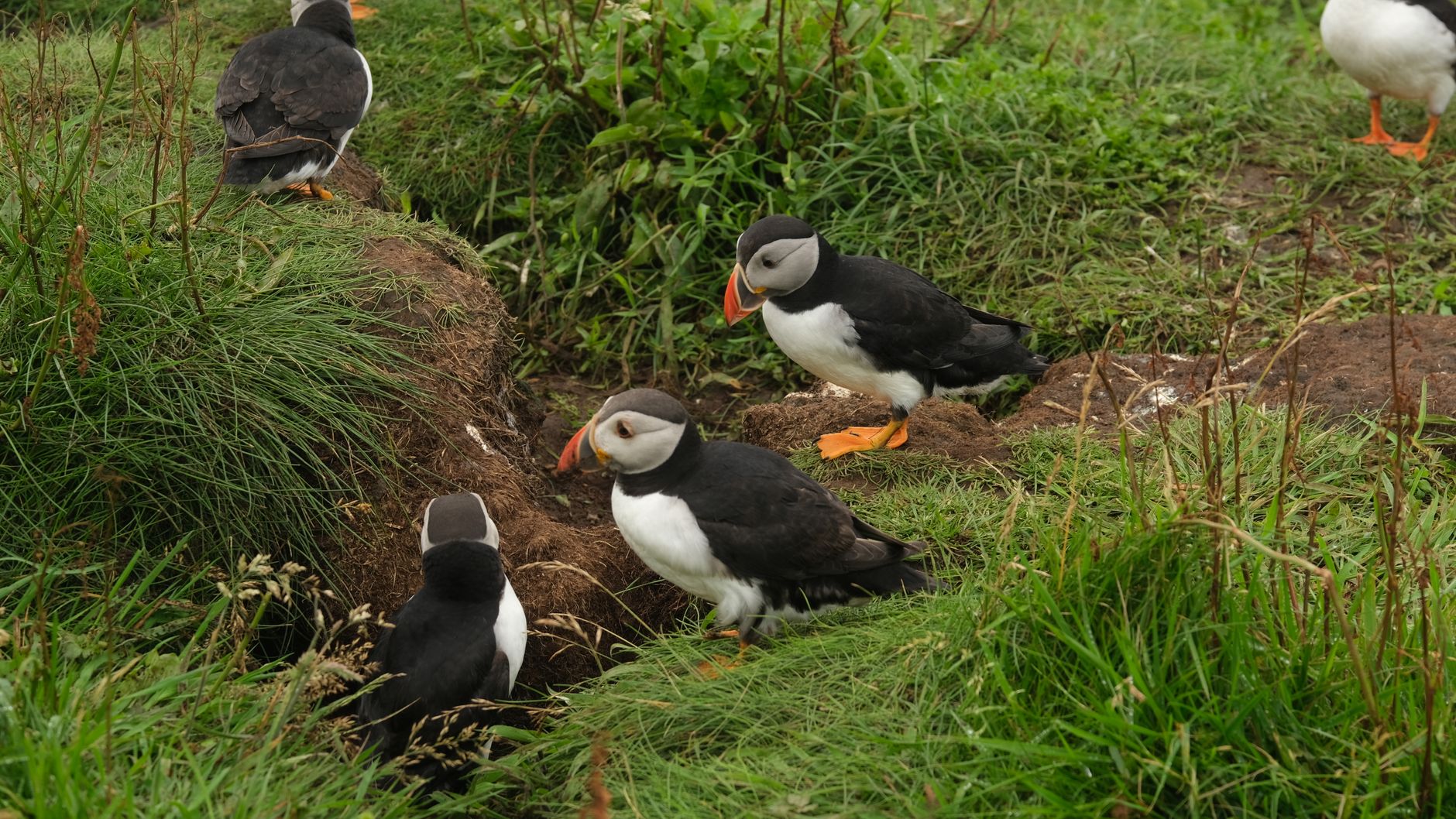 Guernsey Hosts Pivotal Inter-Island Environment Summit