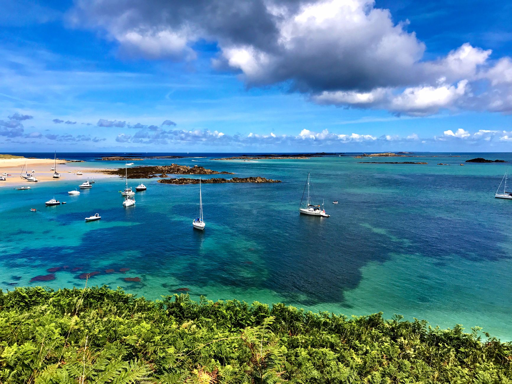 Guernsey Allocates £500K for Nature's Revival