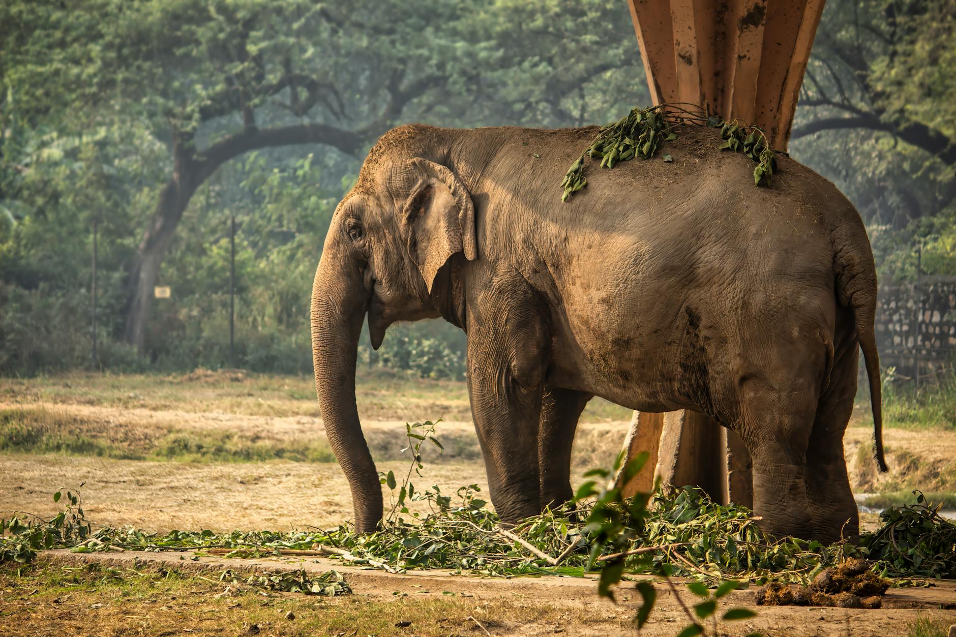 Delhi Zoo Champions Cleanliness with Swachhata Pakhwada Initiative