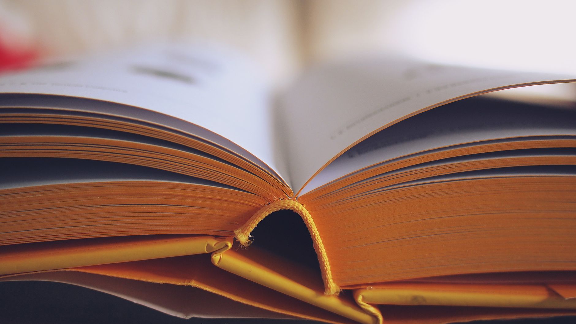 Rajasthan Governor Advocates for Wisdom in Education Over Textbook Learning