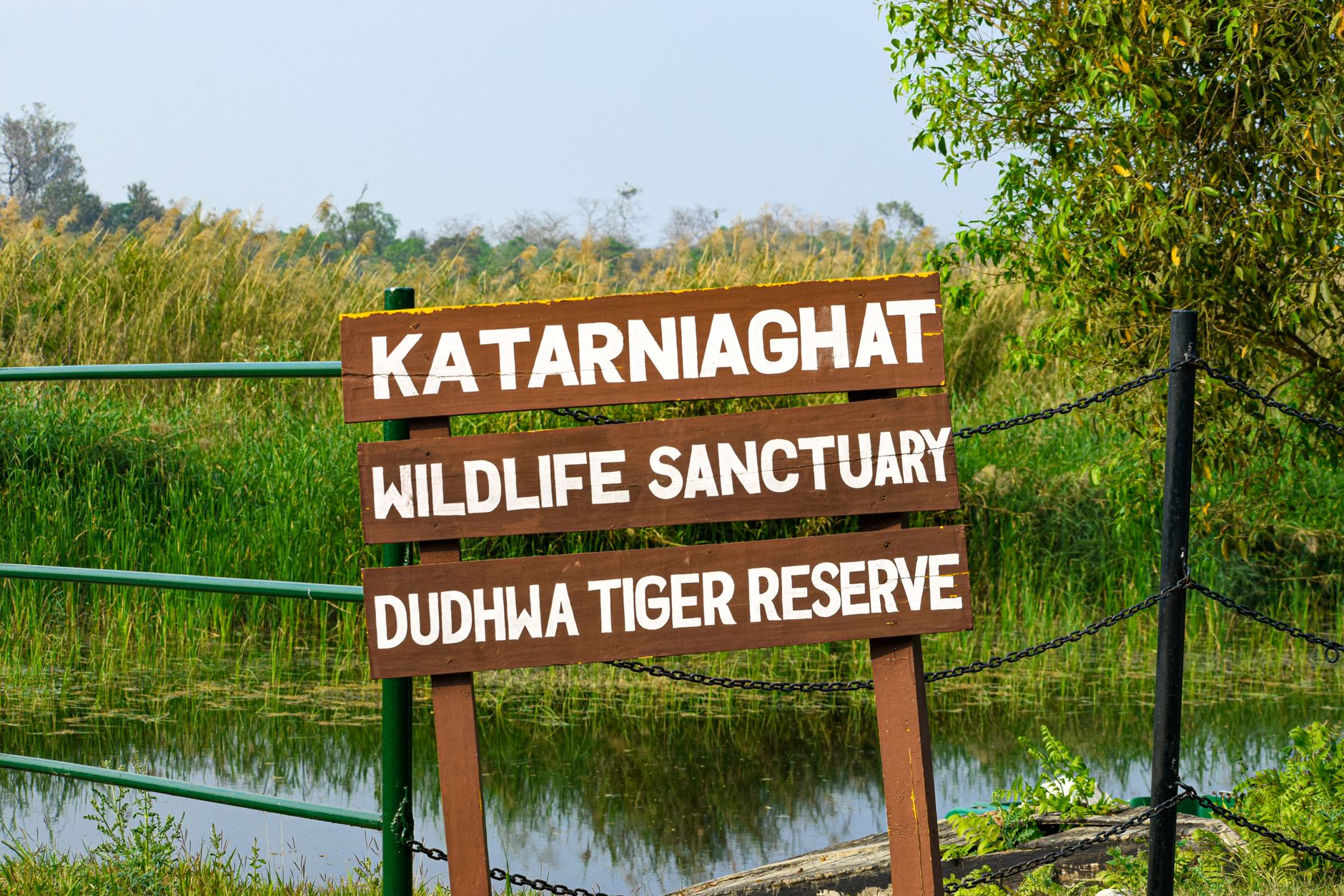 NGT Prioritises Environment Over MV Maa Tourism Project