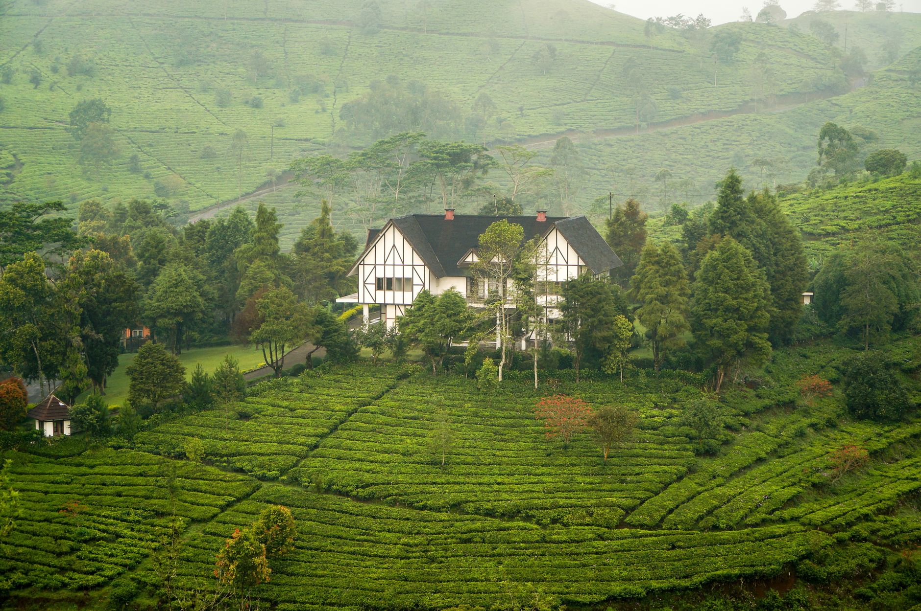 Niuland Tea Estate Hosts Innovative Environmental Leadership Programme